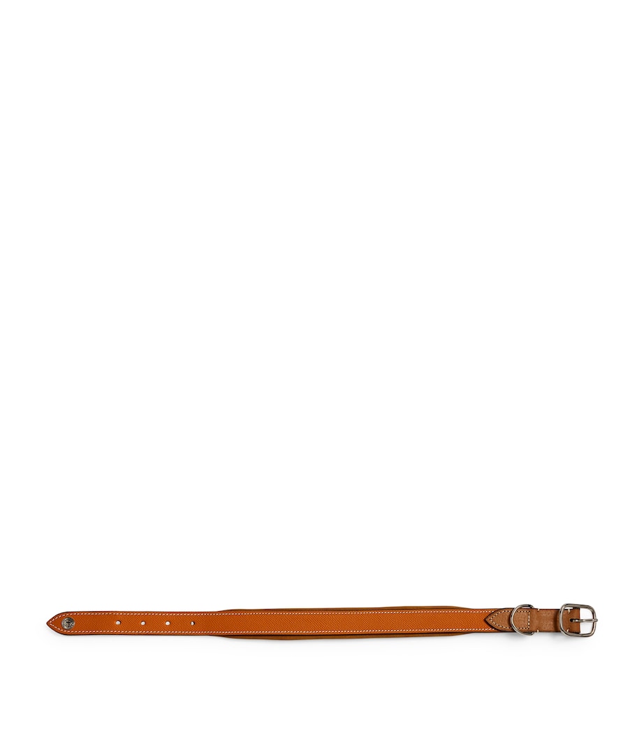 Leather Ascot Dog Collar (Medium) ORANGE Image 2