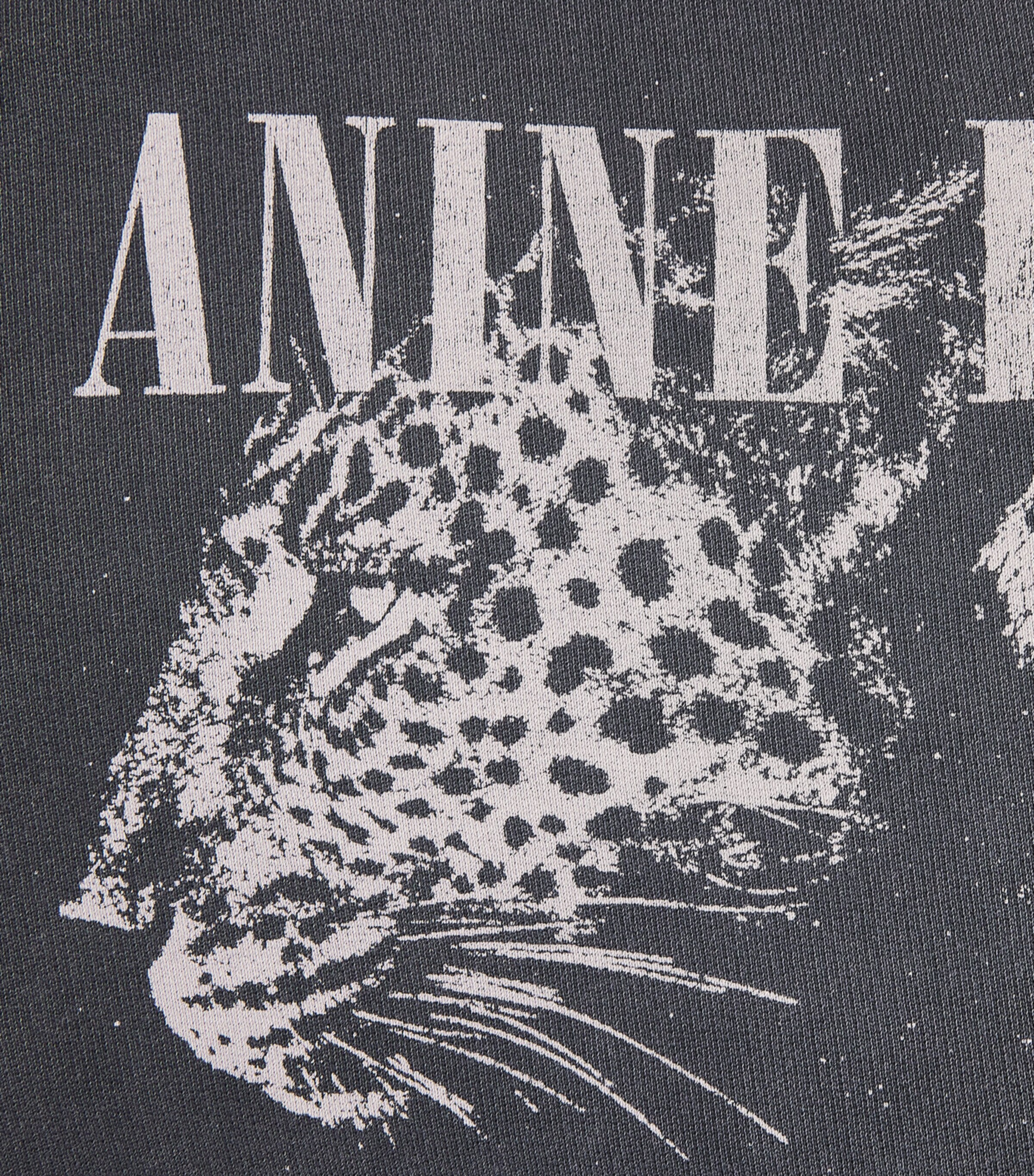 Leopard Print Spencer Sweatshirt WASHED BLACK Image 5