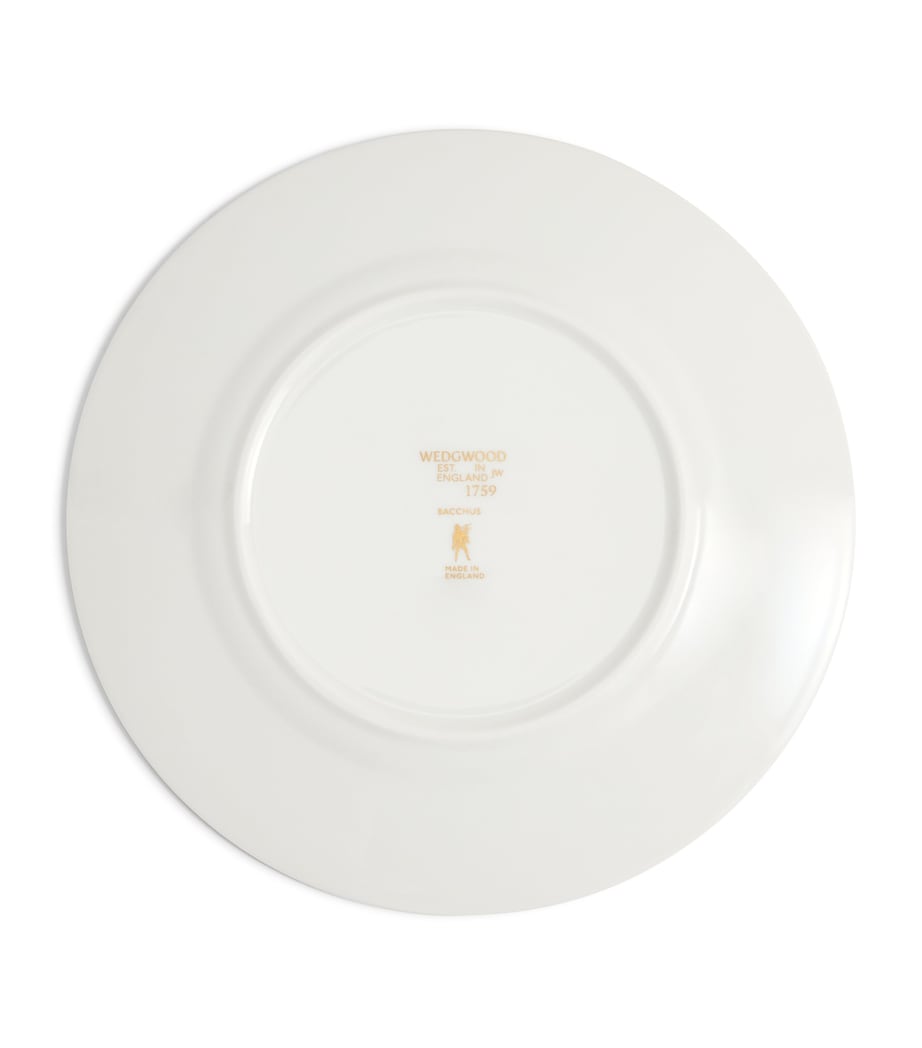 Bacchus Plate (20.6cm) TURQUOISE Image 6