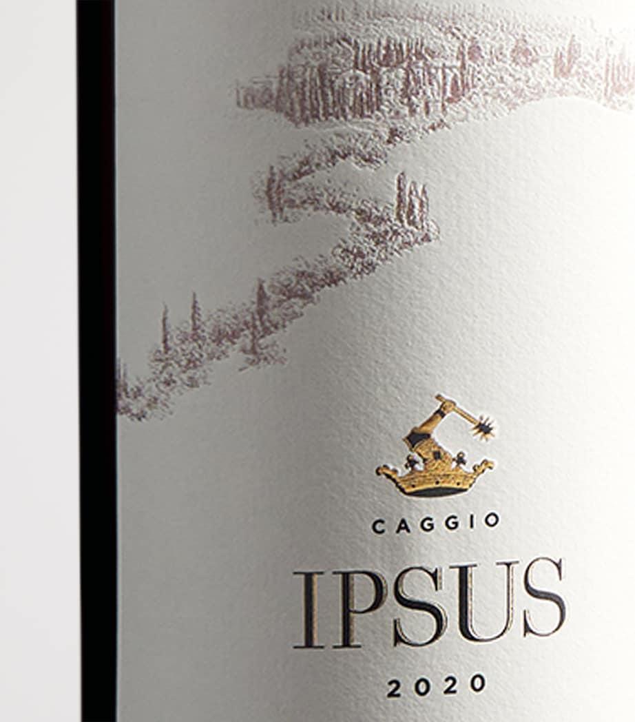 Il Caggio Caggio Ipsus Chianti Classico Gran Selezione 2020 (75cl) - Tuscany, Italy Image 2