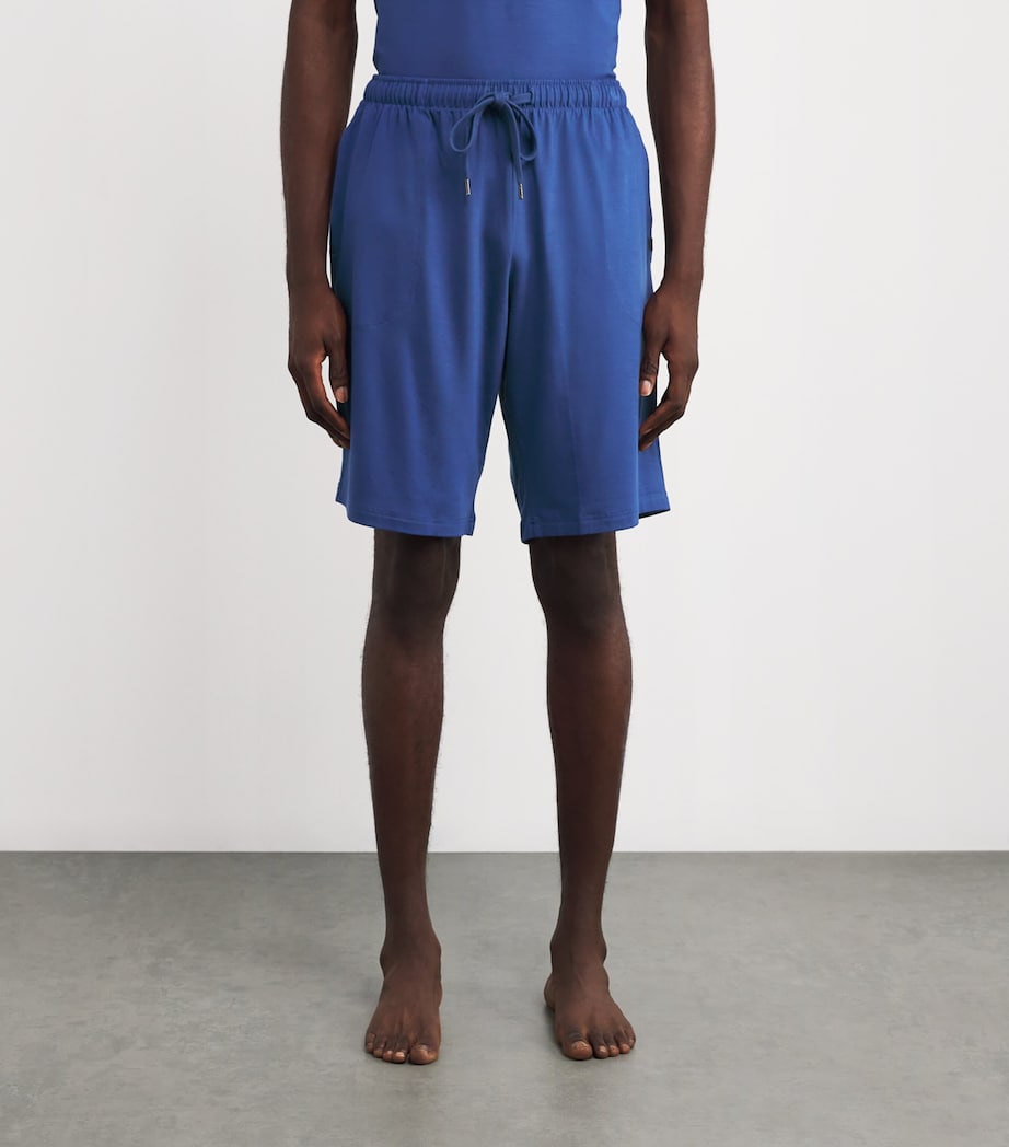Basel Lounge Shorts BLUE Image 3