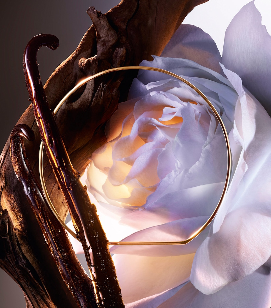 Absolue Rose On The Moon Eau de Parfum (100ml) NO COLOUR Image 4