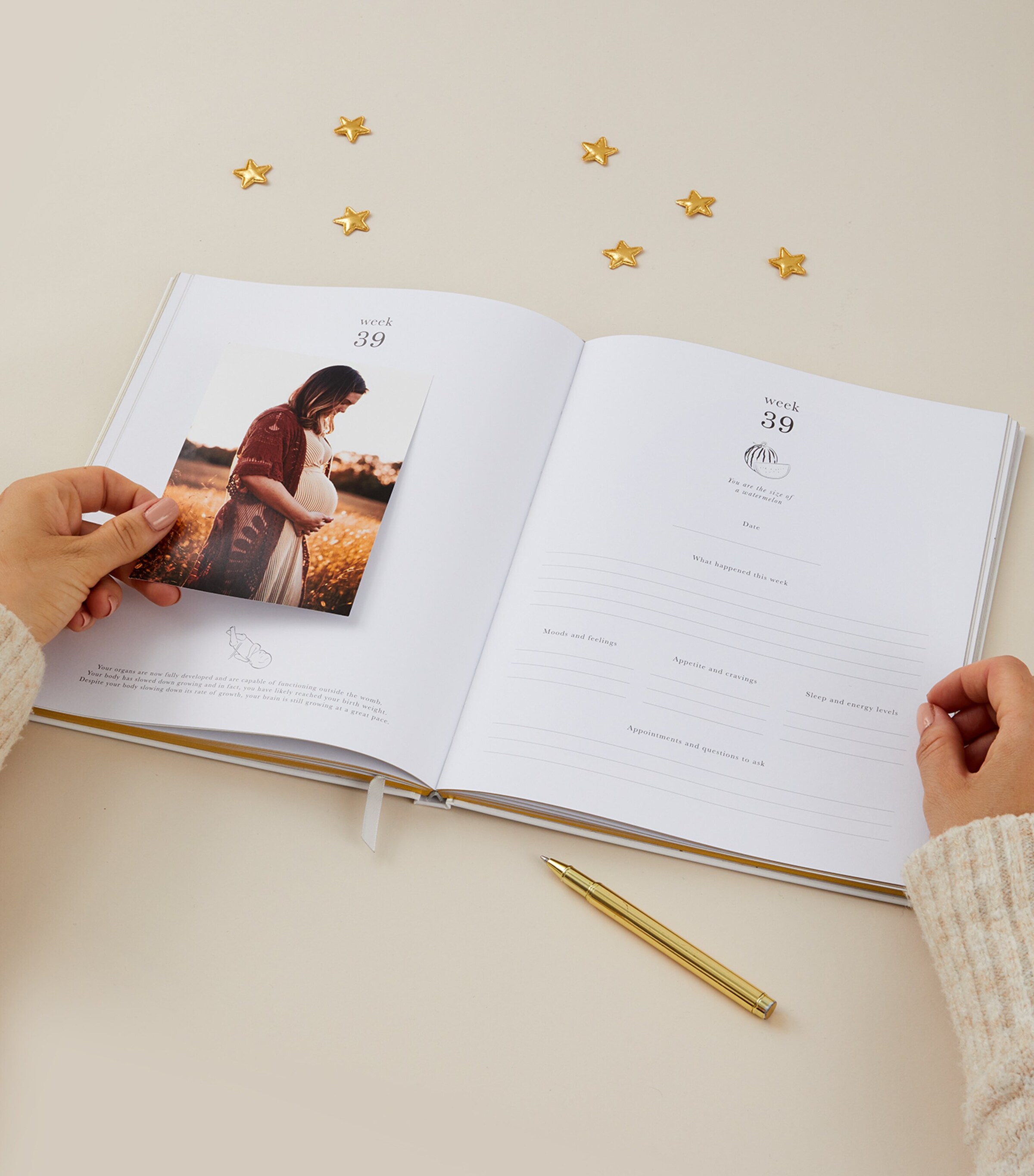Safari My Pregnancy Journal IVORY/BEIGE, GOLD Image 10