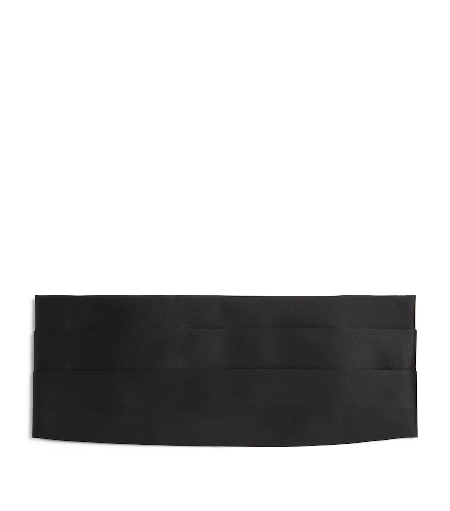 Silk Cummerbund 20 Image 1