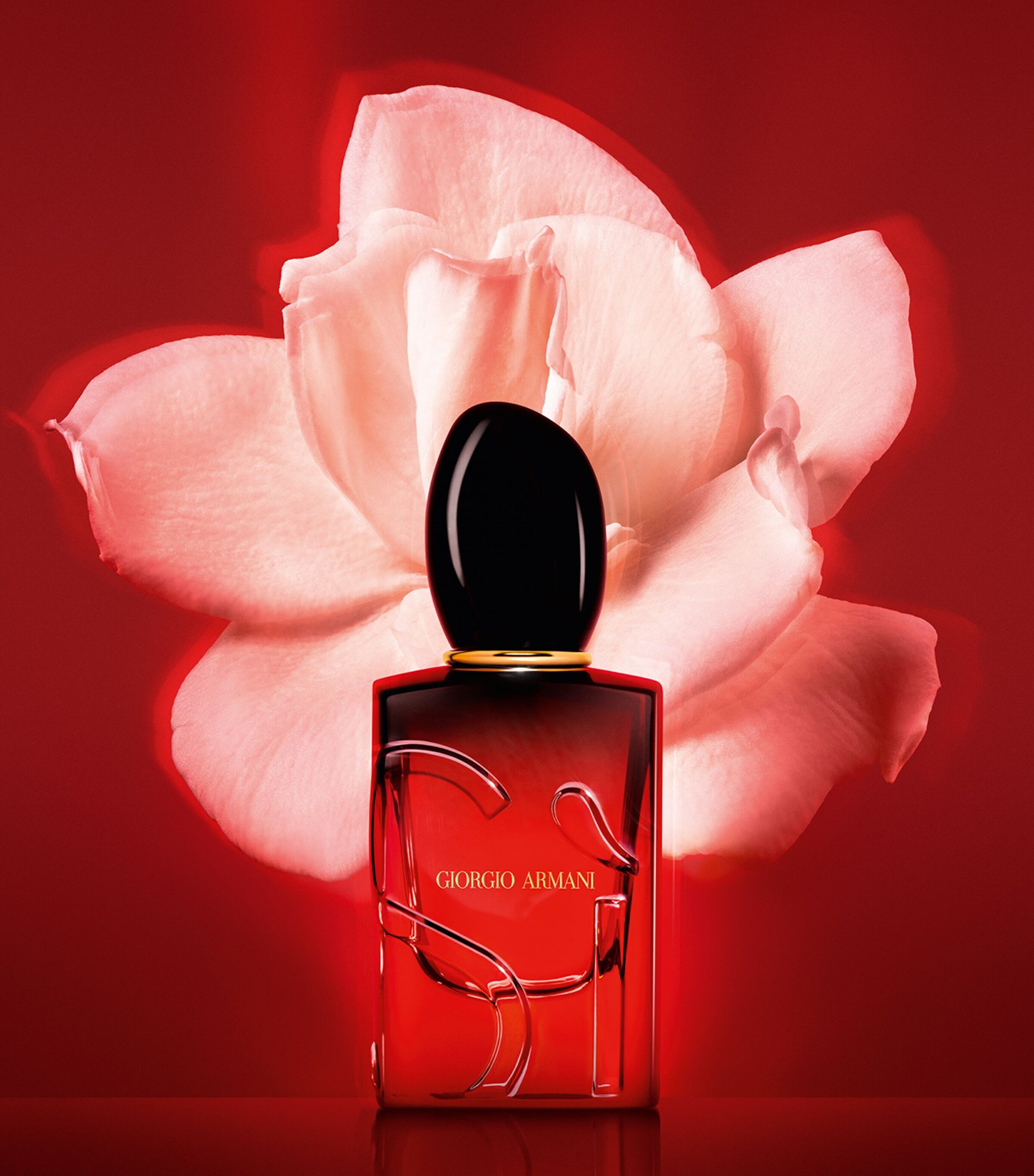 Armani Si Passione Intense Eau de Parfum (100ml) | Perfume | Womens Perfume | Designers | Armani Armani Si Passione Intense Eau de Parfum (100ml) | Perfume | Womens Perfume | Designers | Armani