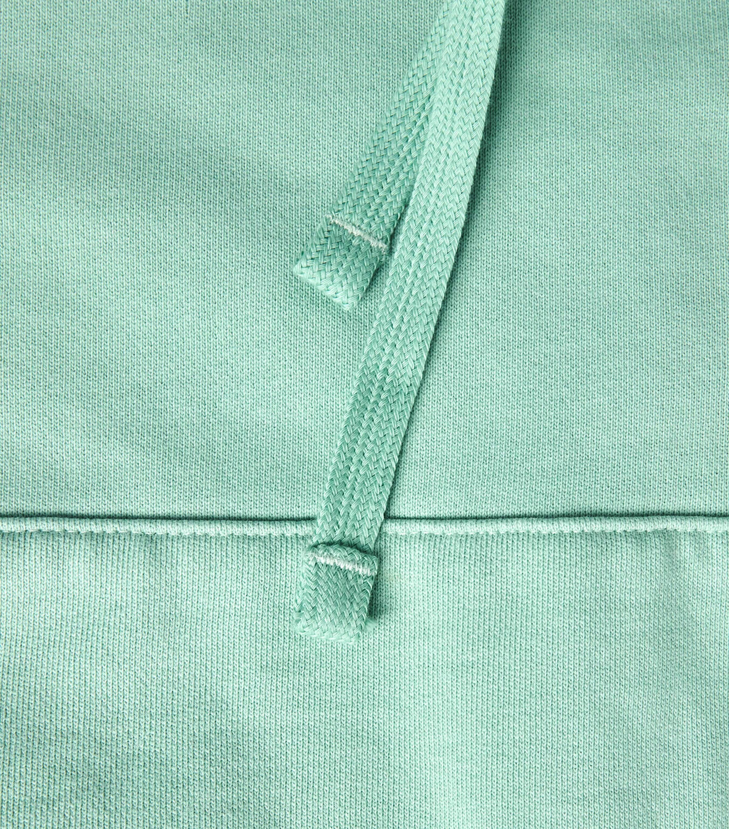 Polo Ralph Lauren Mens Cotton Loopback Fleece Polo Pony Hoodie Celadon Image 6