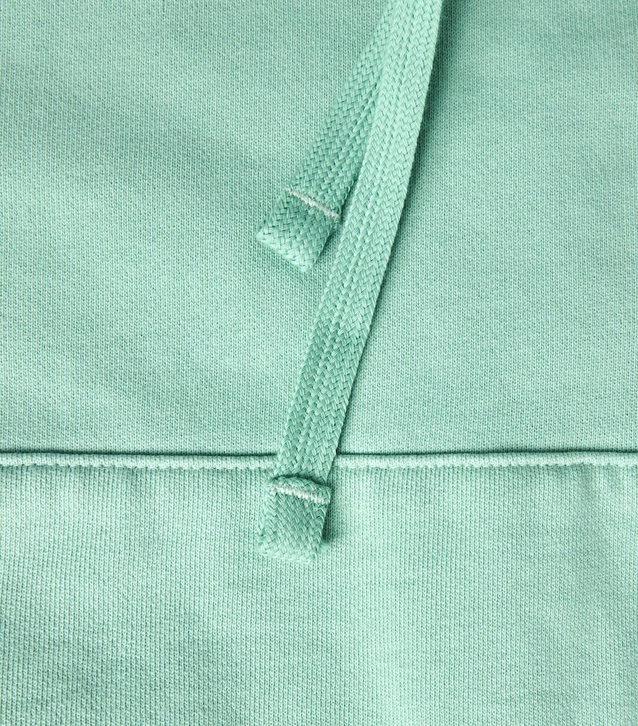 Polo Ralph Lauren Mens Cotton Loopback Fleece Polo Pony Hoodie Celadon Image 6