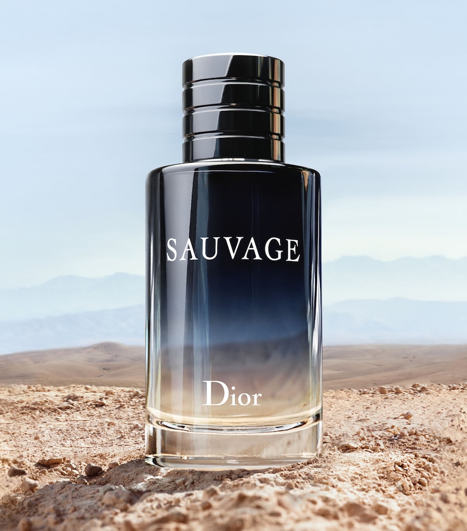 Sauvage Eau de Toilette (100ml) NO COLOUR Image 3
