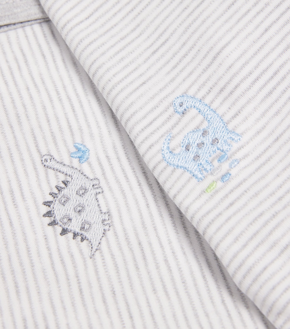 Pima Cotton Dinosaur Era All-In-One (0-12 Months) K020GREY Image 3