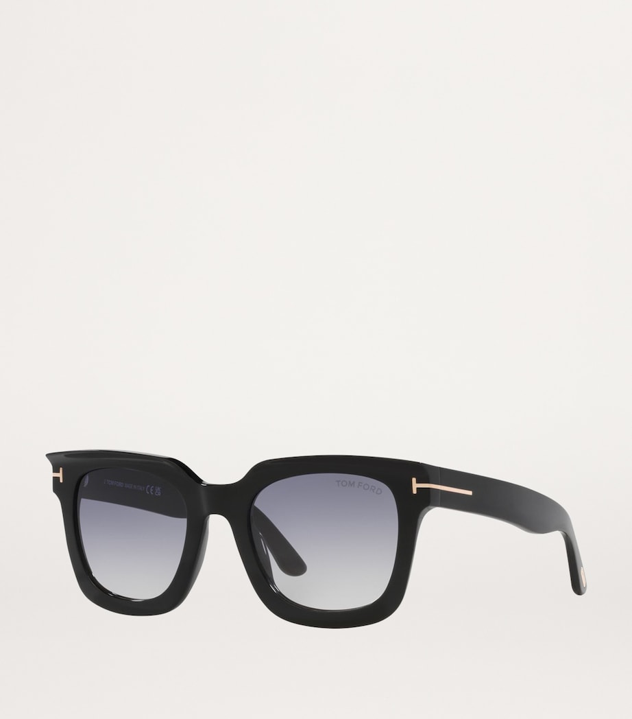 Acetate Leigh-02 Sunglasses 1330L3 Image 2
