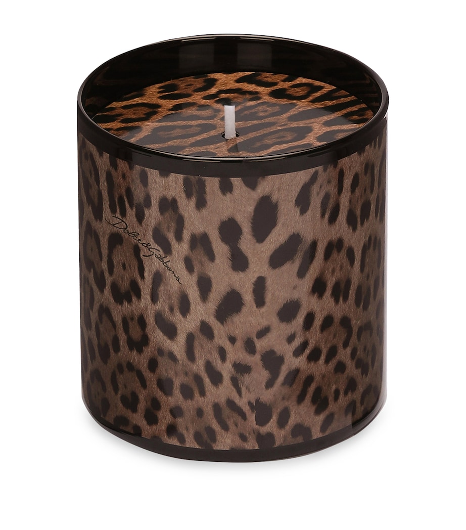 Dolce&Gabbana Casa Leopardo Patchouli Candle (380g) Patchouli Image 4