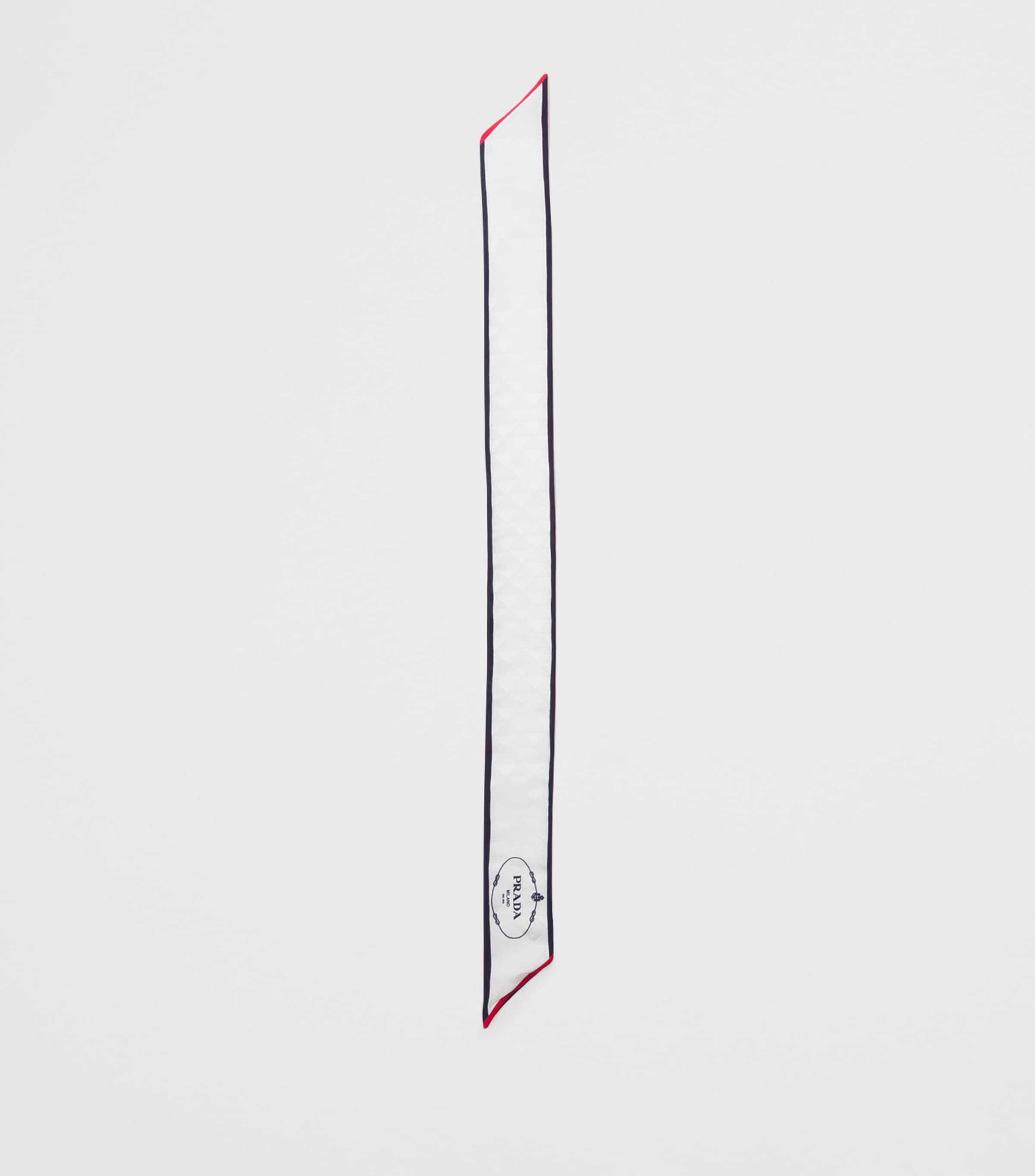 Silk Twill Skinny Scarf F061T Image 3