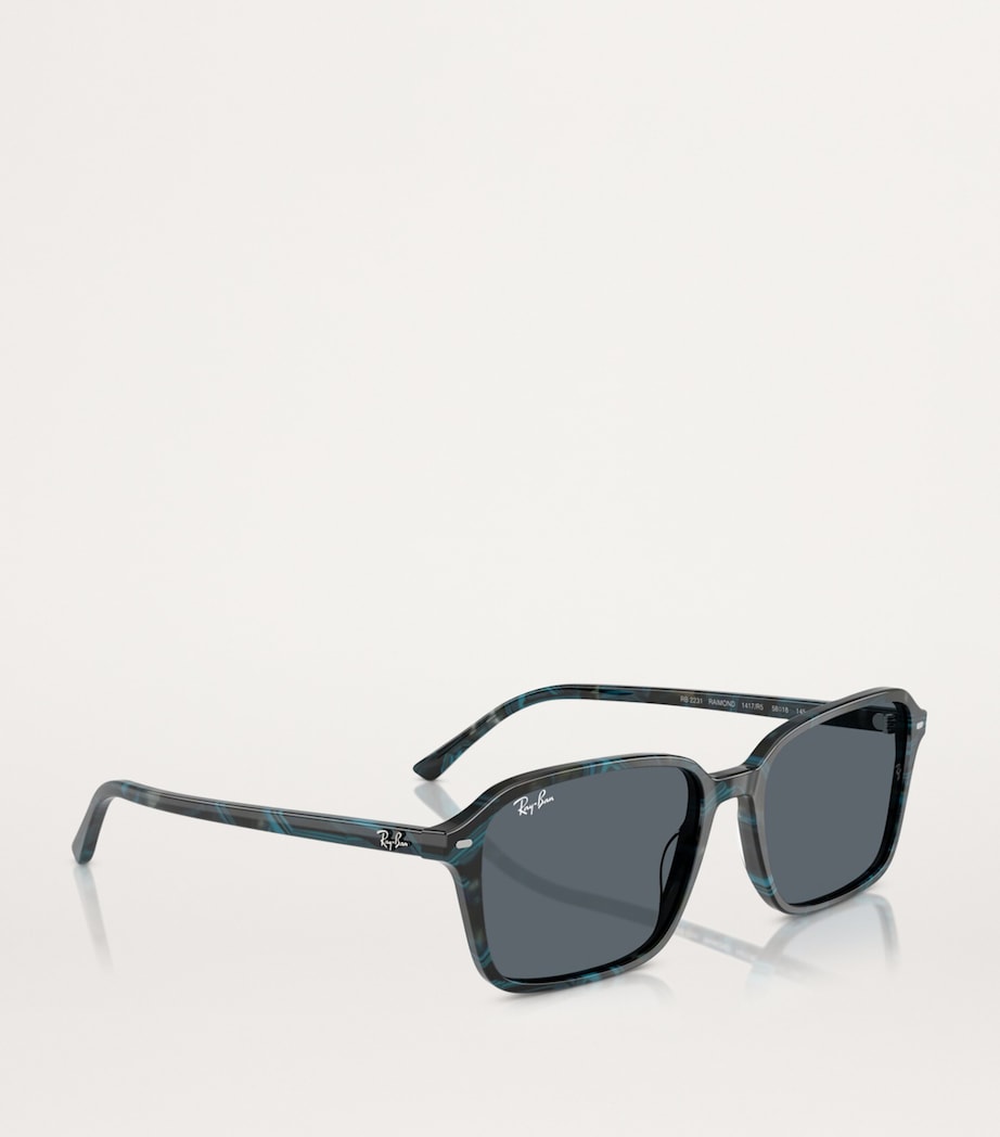 RB2231 Raimond Sunglasses 1417R5 Image 6