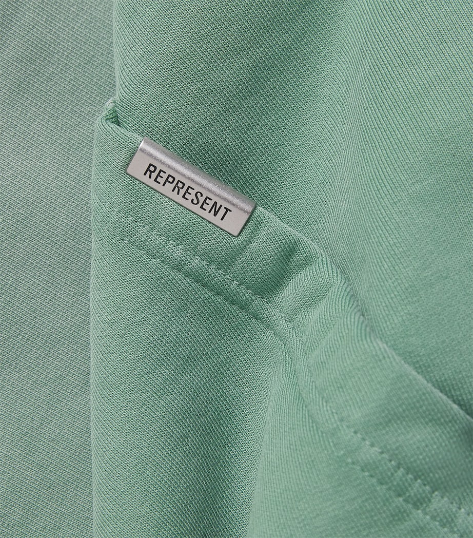 Represent Mens Owners Club Hoodie Washed Aloe Image 6