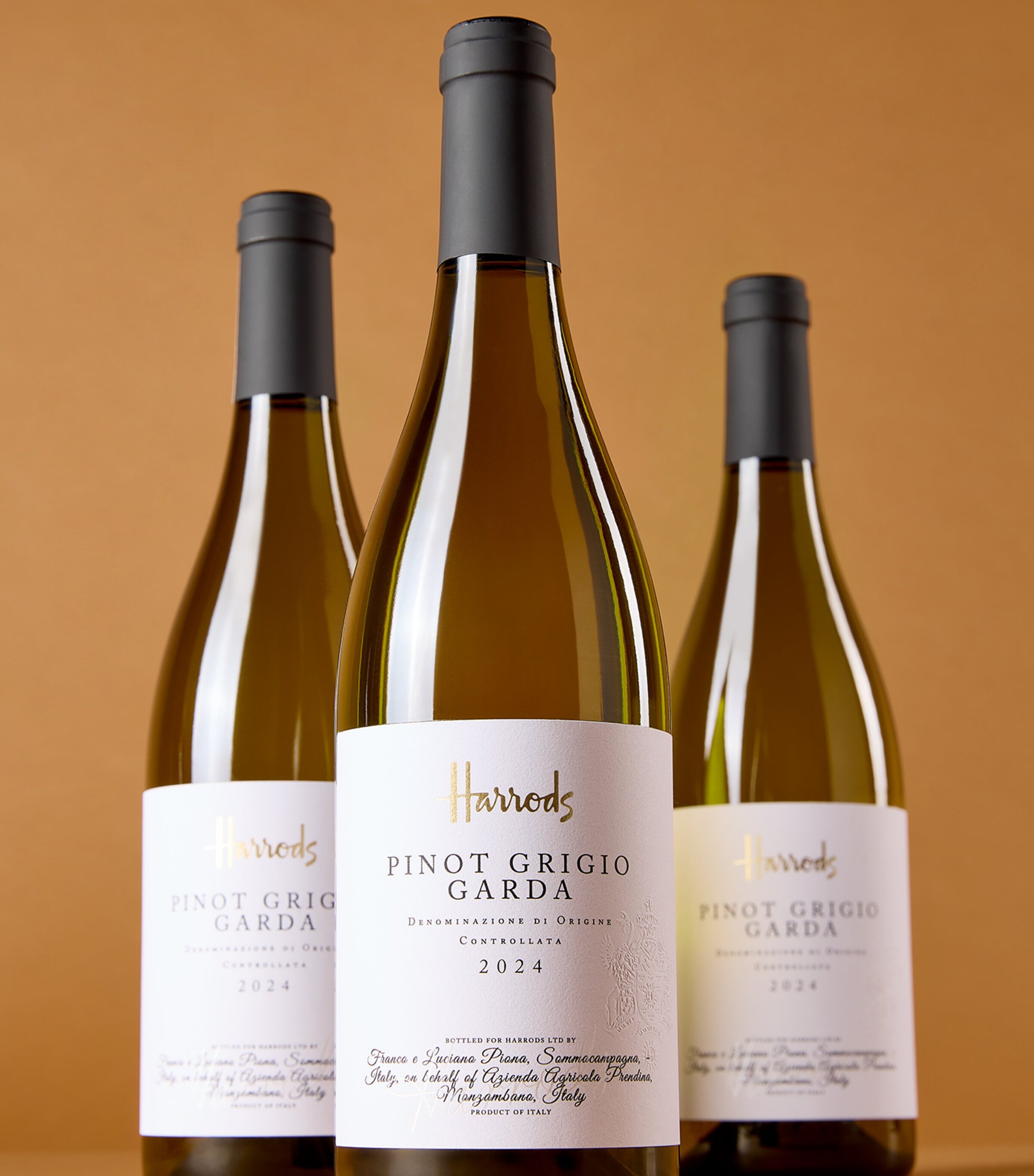 Harrods Pinot Grigio Wine Case (12 Bottles) - Lombardy, Italy Image 3