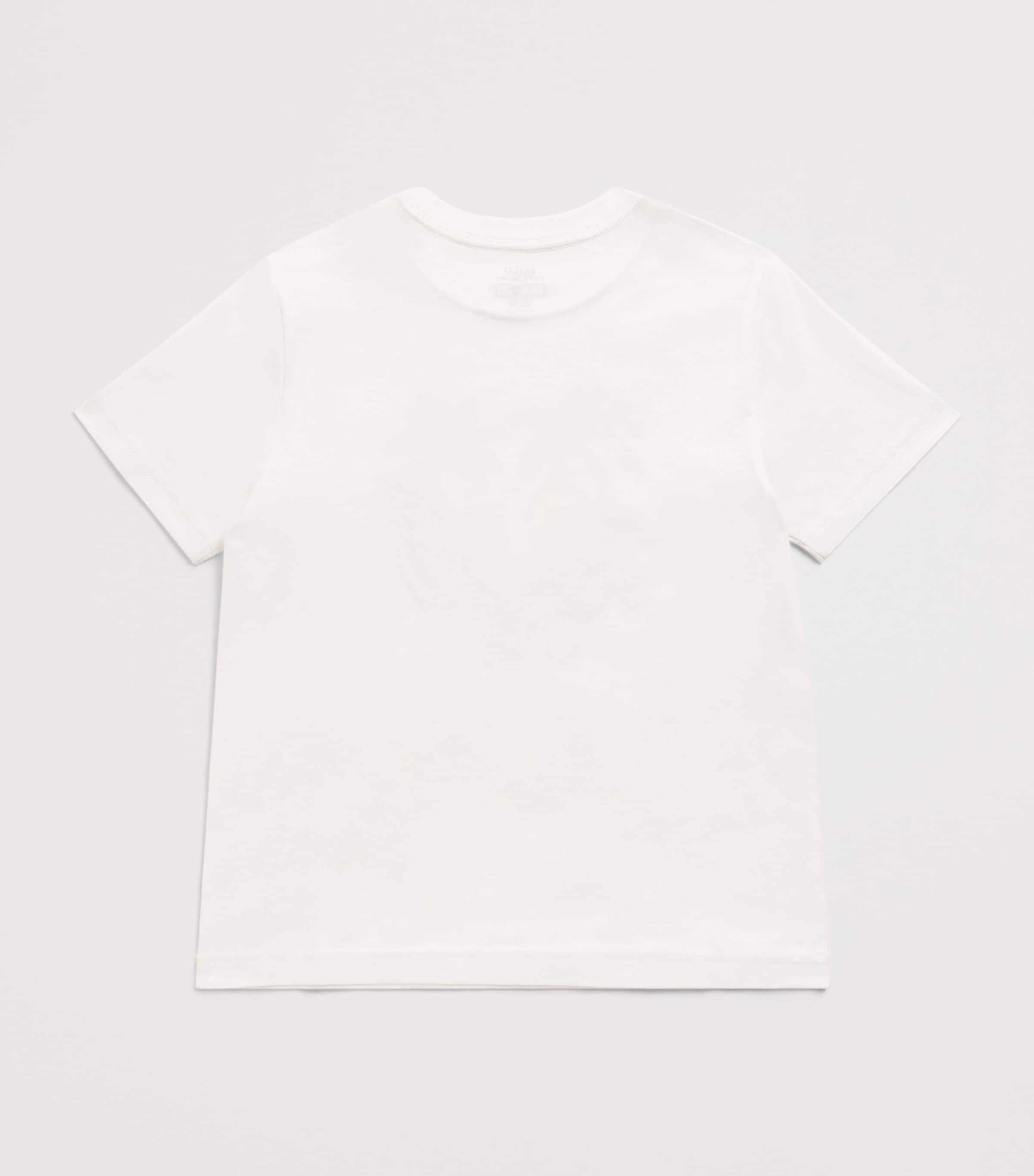 Ralph Lauren Kids Cotton Graphic T-Shirt (2-7 Years) White Image 2