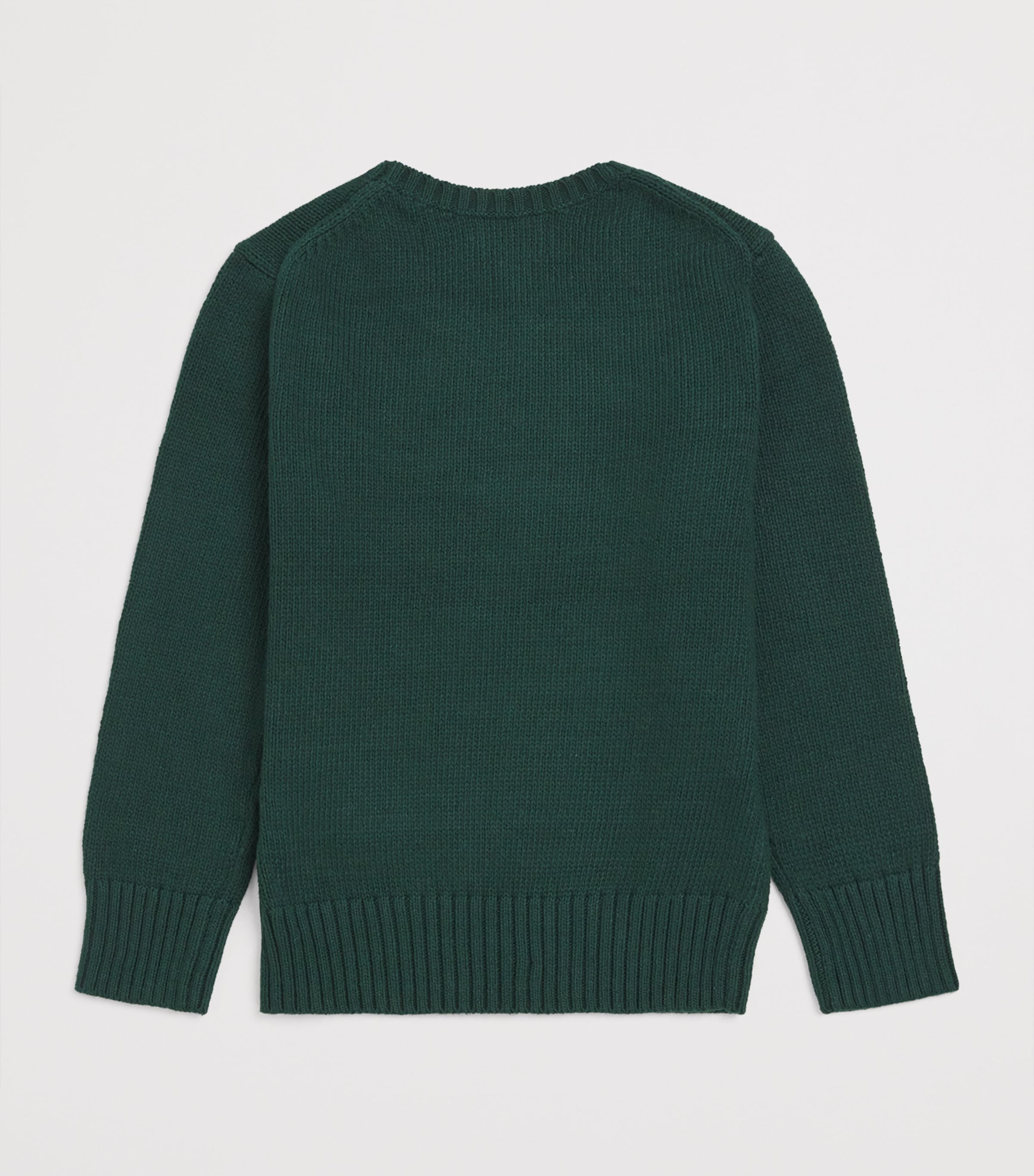 Ralph Lauren Kids Cotton Polo Bear Sweater (6-14 Years) Green Image 2