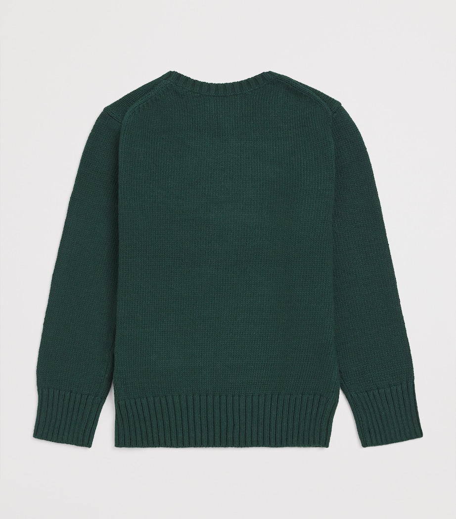 Cotton Polo Bear Sweater (6-14 Years) GREEN Image 2