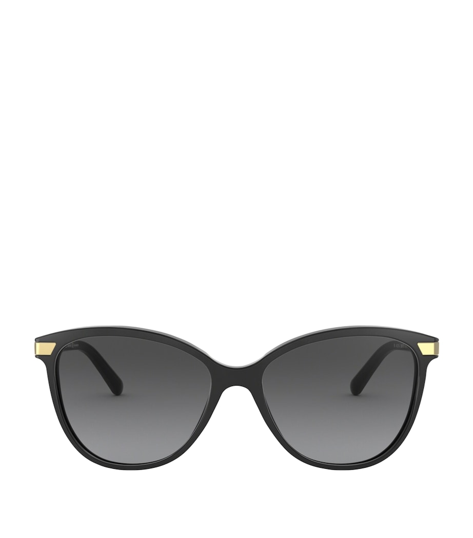 Acetate BE4216 57 Sunglasses 3001T3 Image 1
