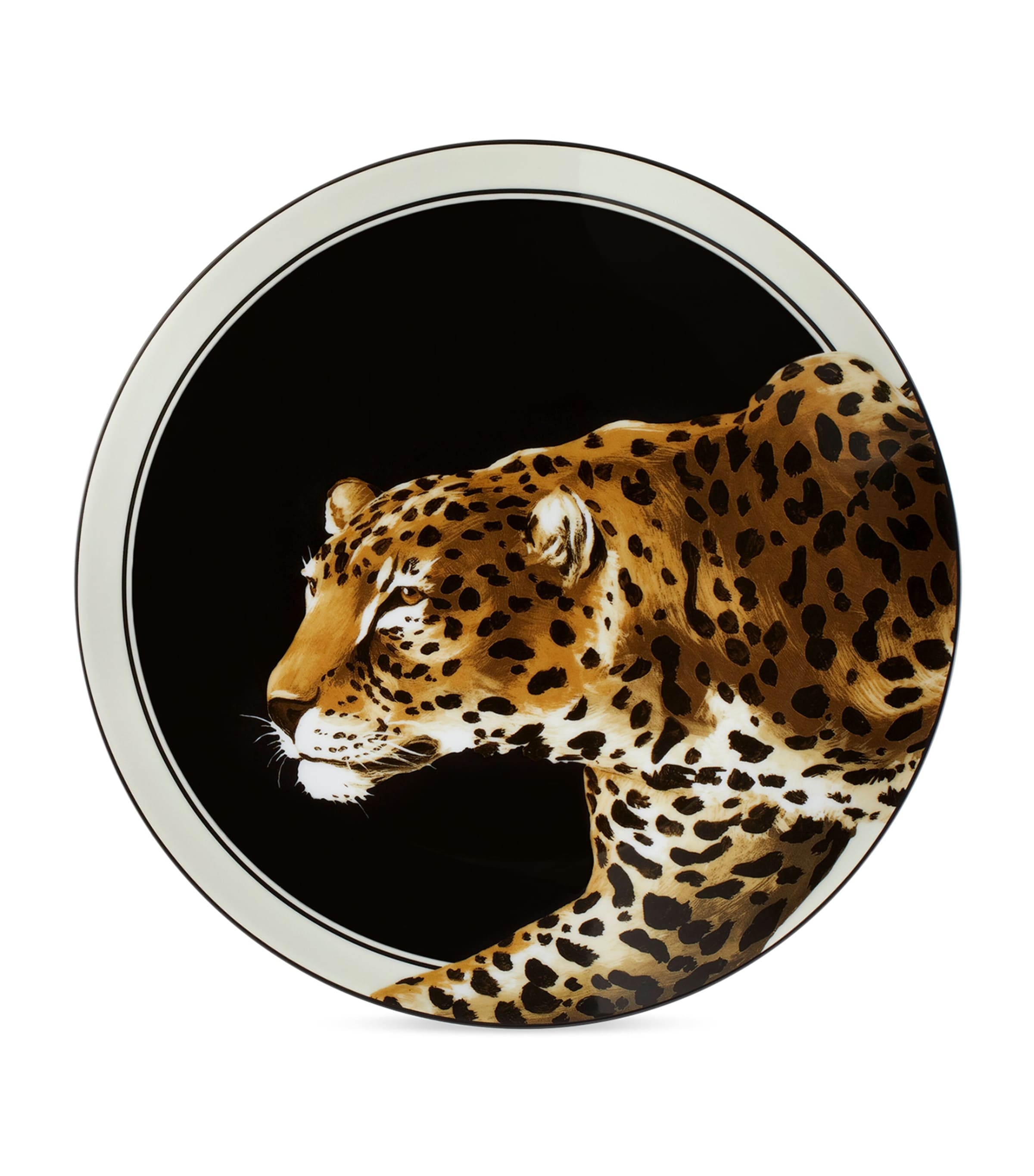 Shop Dolce & Gabbana Casa Set Of Two Leopard Dinner Plates