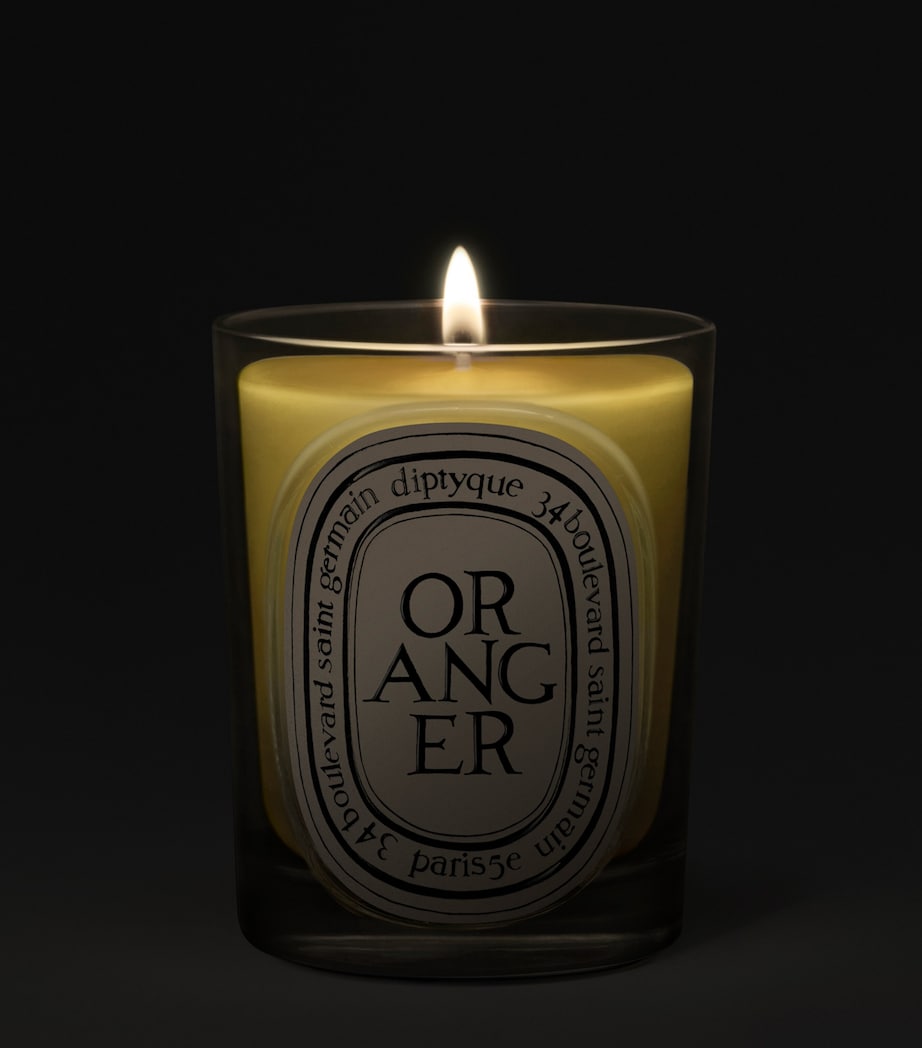 Diptyque Oranger Candle (190g) Image 2