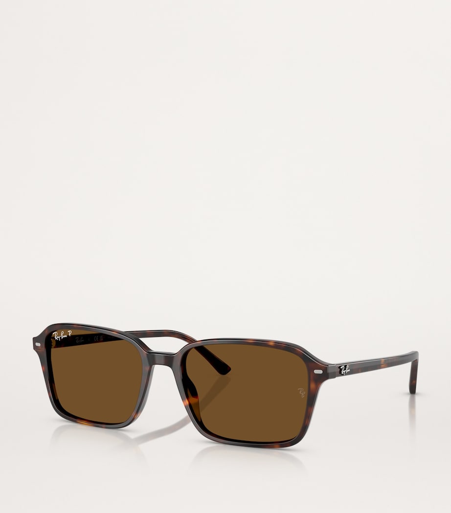 RB2231 Raimond Sunglasses 902/57 Image 2