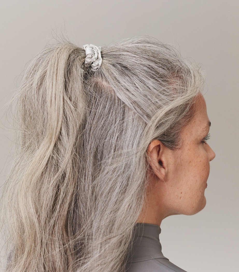 Pure Silk Skinny Scrunchies (Set of 4) SILVER Image 4
