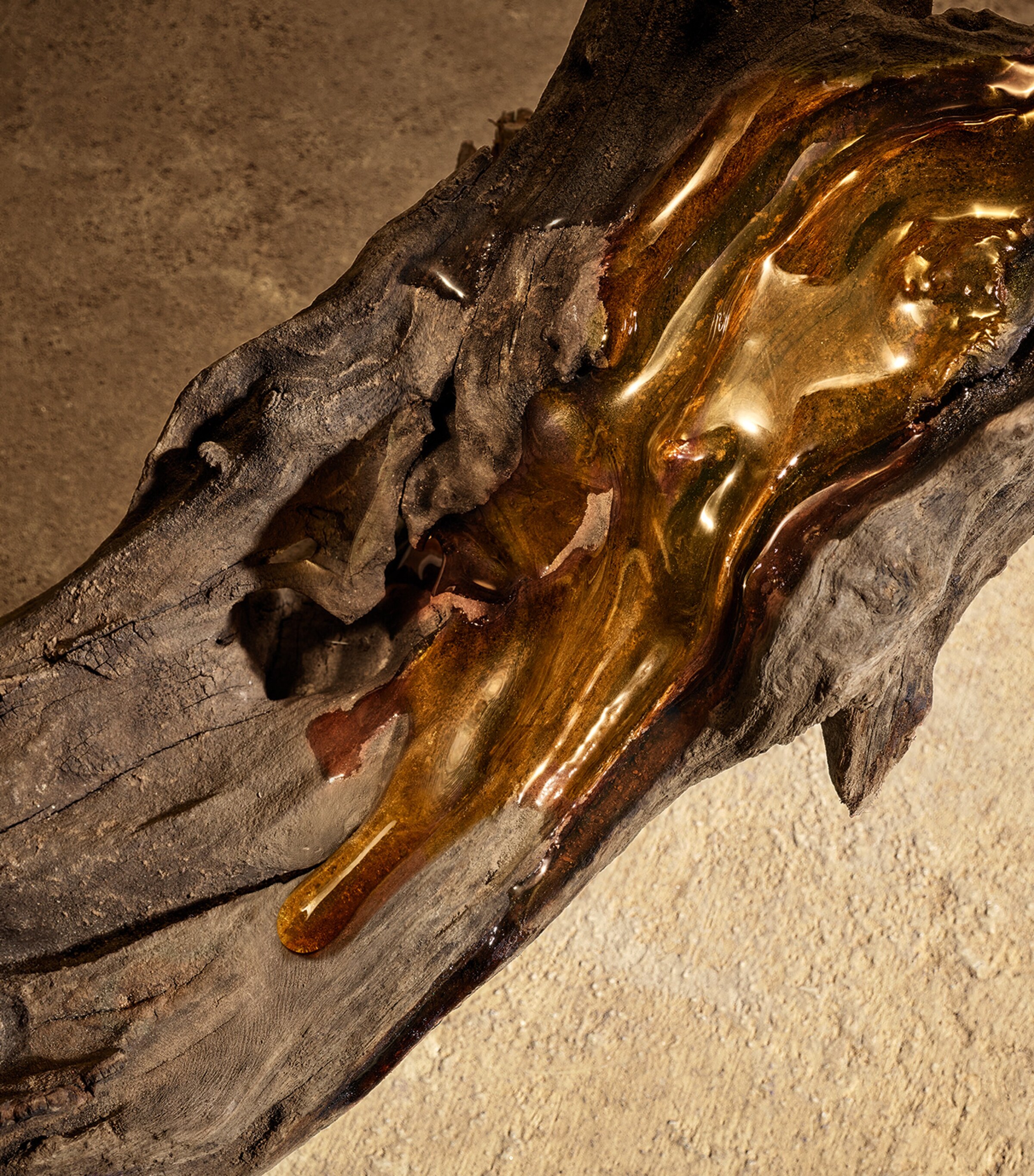 Devotion For Men Parfum (50ml) NO COLOUR Image 7