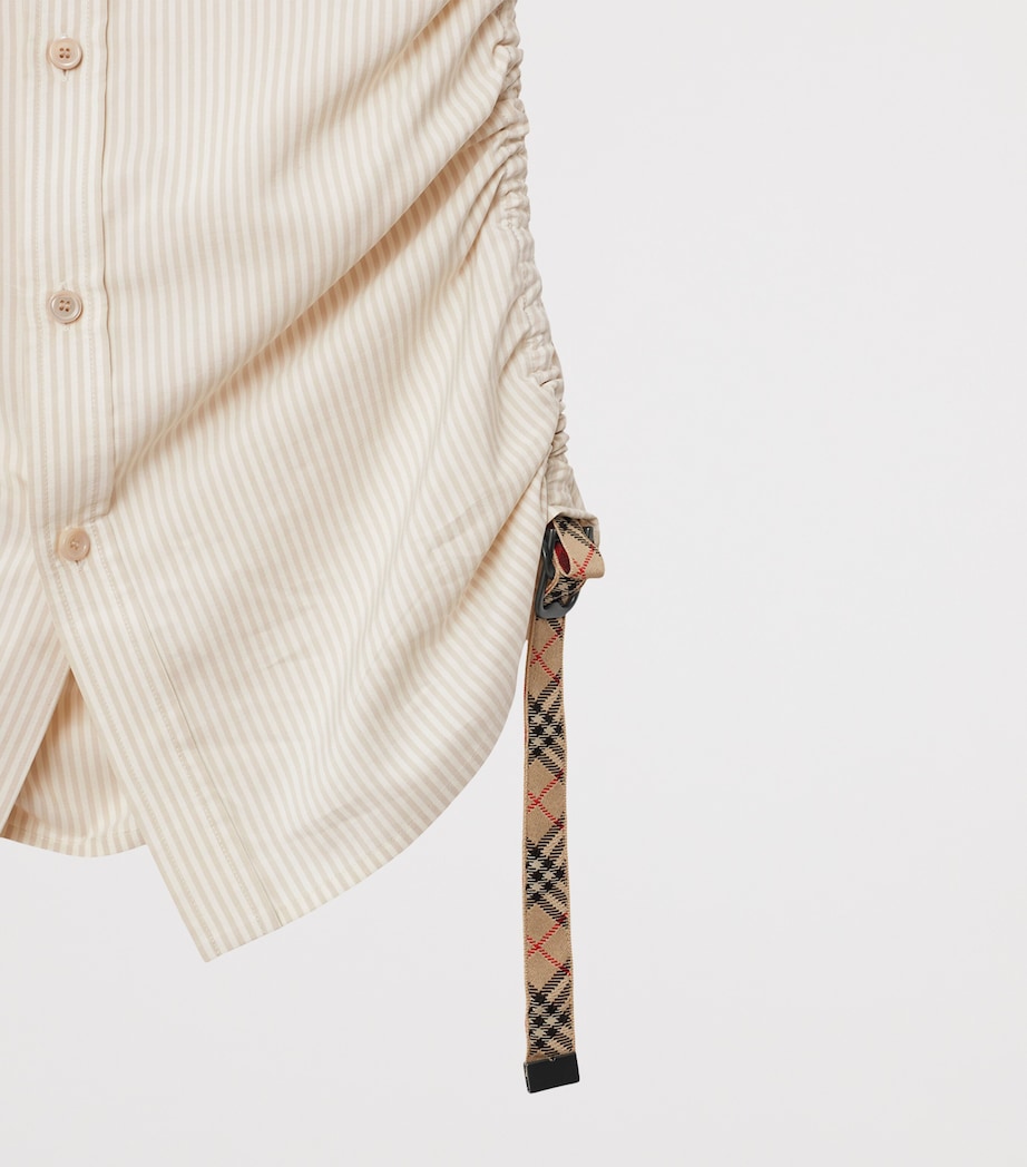 Silk Stripe Shirt CLAM IP STRIPE Image 5