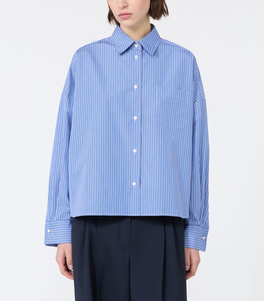 Weekend Max Mara Womens Cotton Stripe Cropped Shirt Cornflower Blue Image 3
