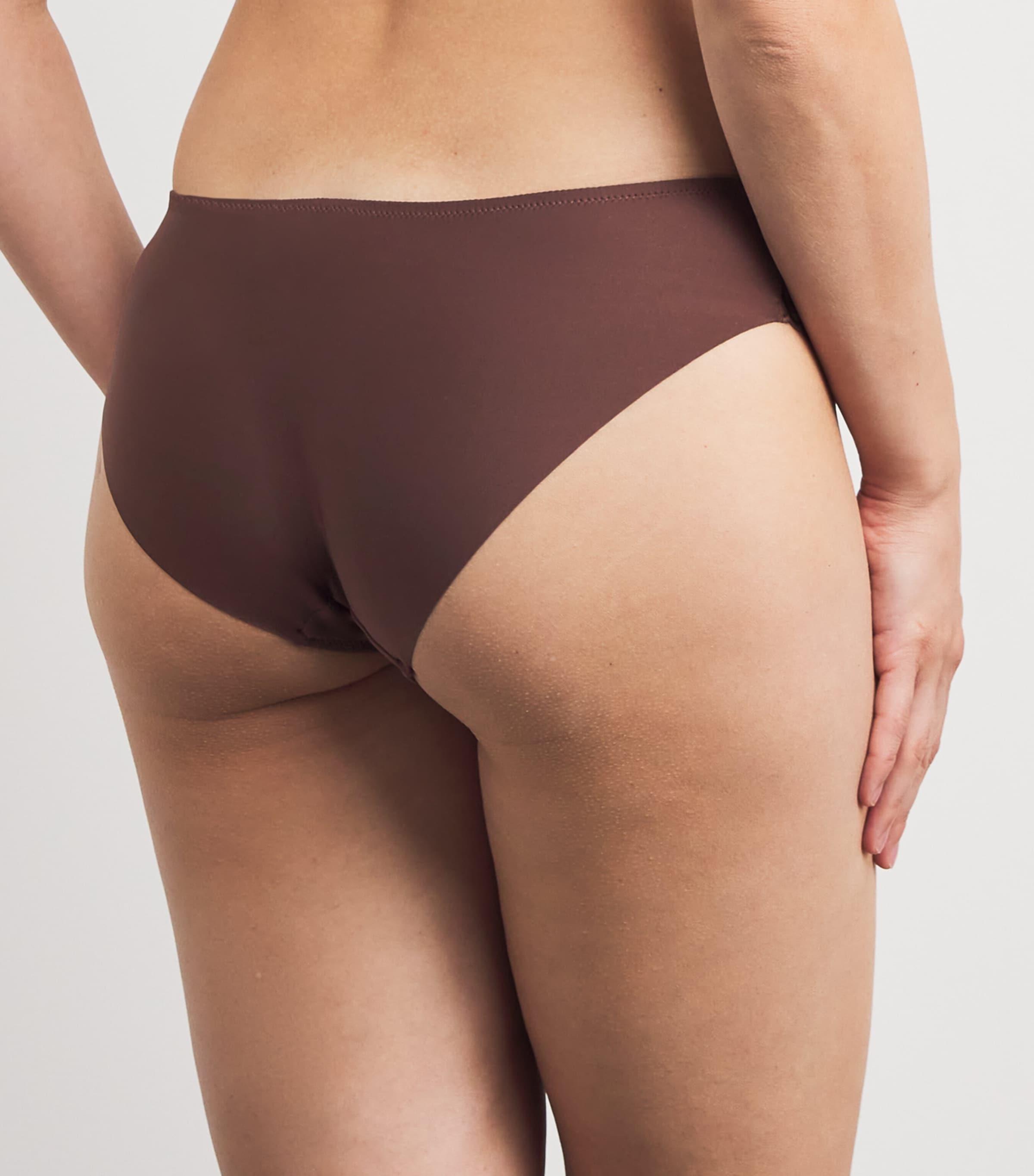 Sheer Emotion Brazilian Briefs SEPIA Image 3