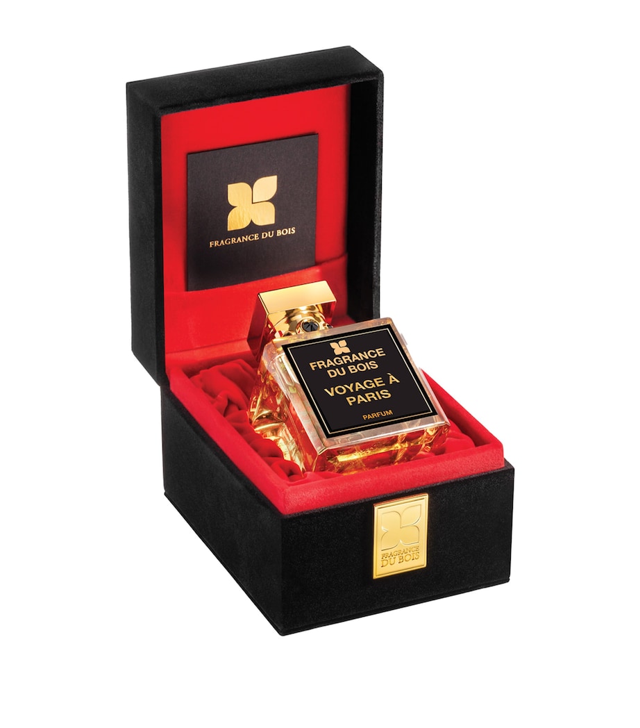 Voyage à Paris Parfum (100ml) NO COLOUR Image 2