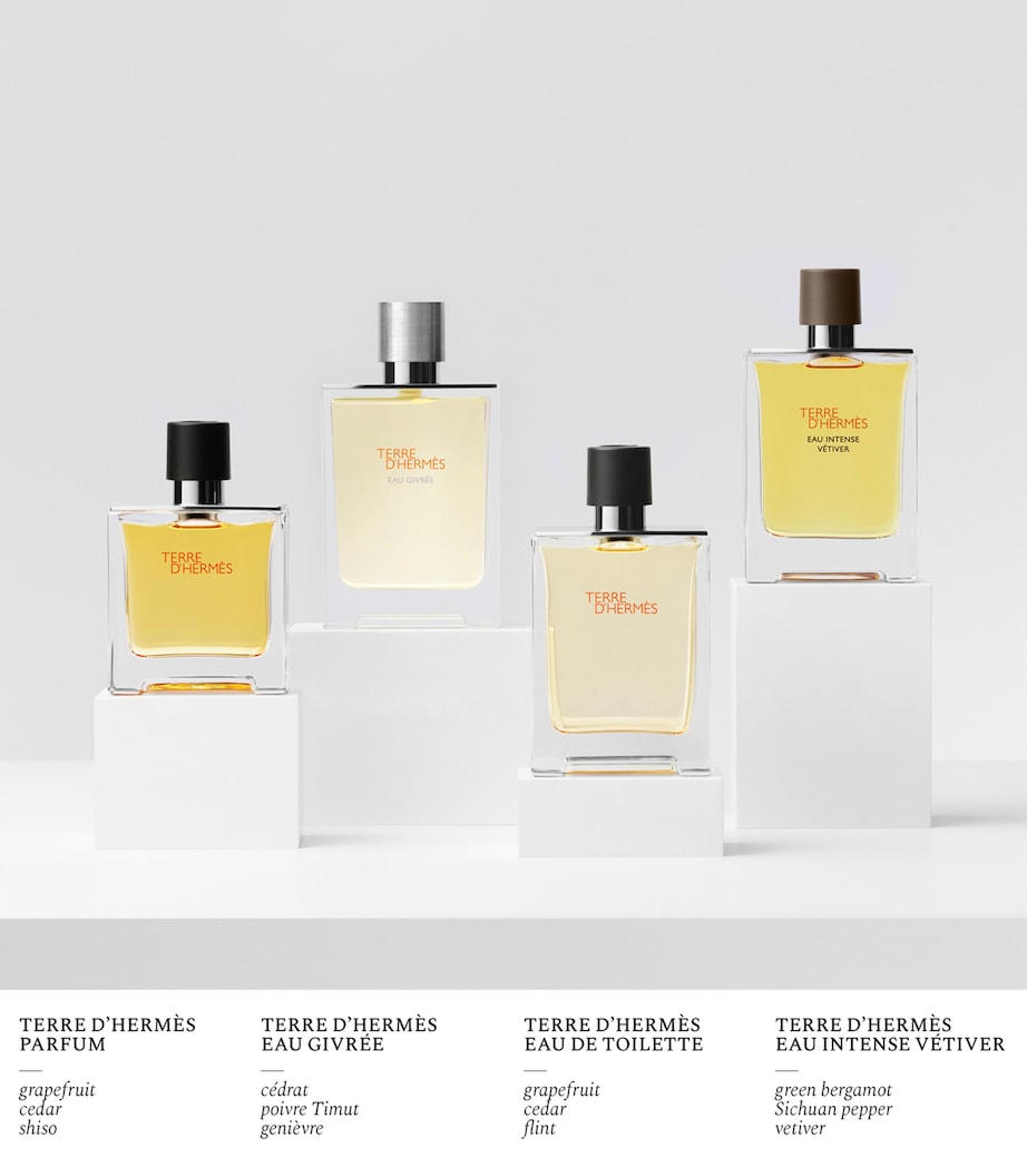 Terre d’Hermès Eau Givrée Eau de Parfum Refill (125ml) NO COLOUR Image 9