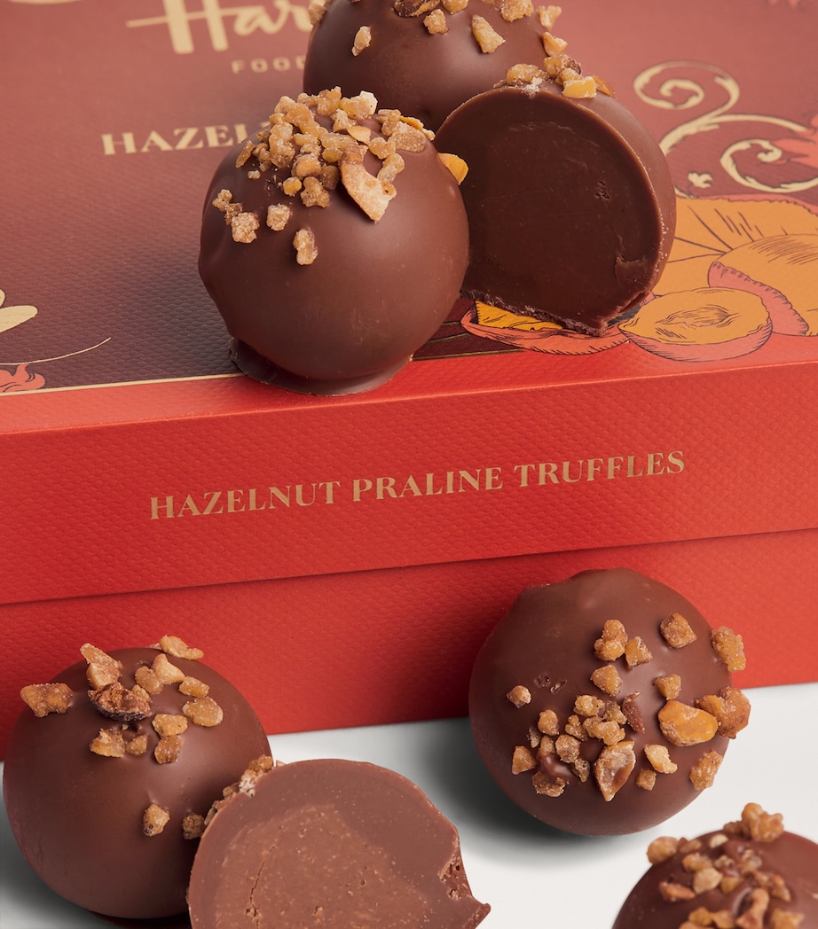 Hazelnut Praline 15-Piece Truffles (200g) NO COLOUR Image 3