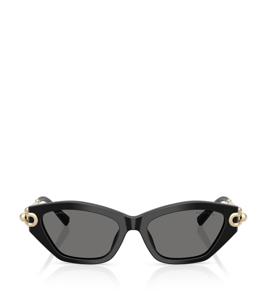 Acetate Cat Eye TF4231U Sunglasses 800181 Image 1