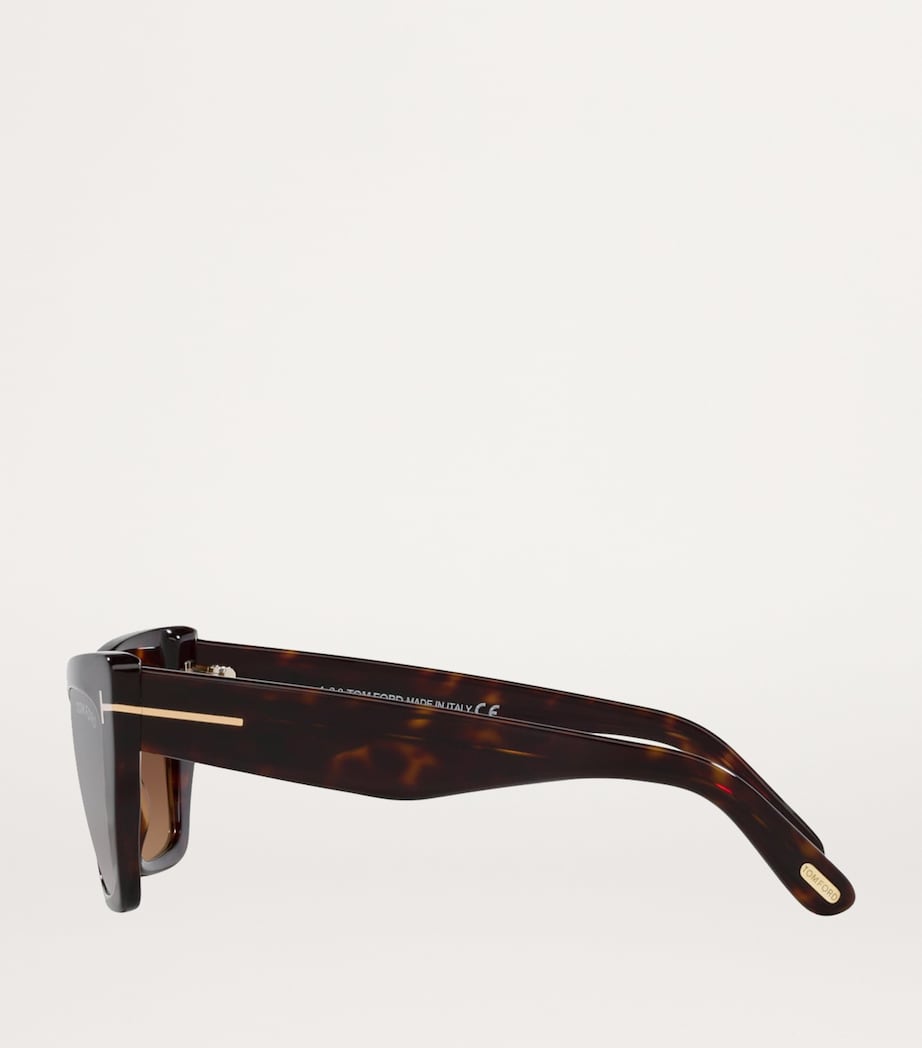 Acetate 0TR001312 Sunglasses 1000D1 Image 3