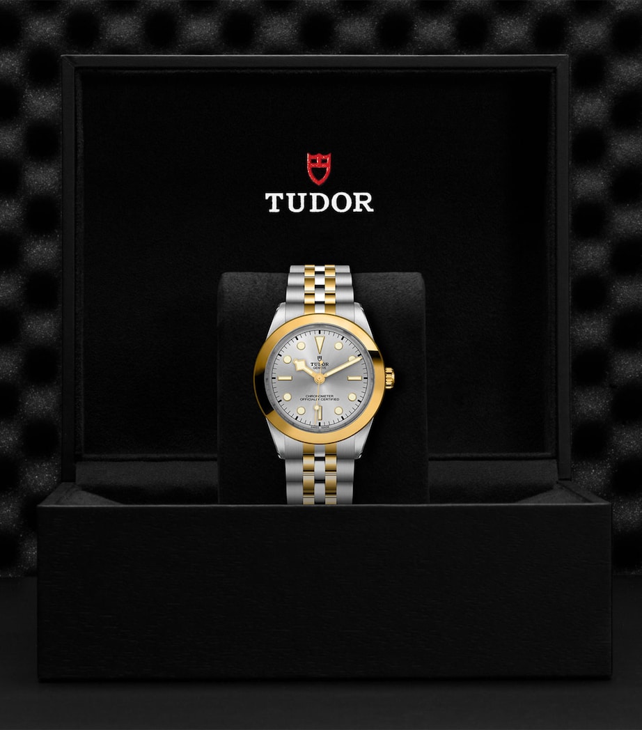 TUDOR Black Bay One Stainless Steel and Yellow Gold Watch 39mm Silver Image 5