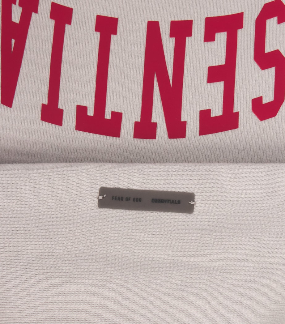 Varsity Logo Hoodie SMOKE GREY Image 5