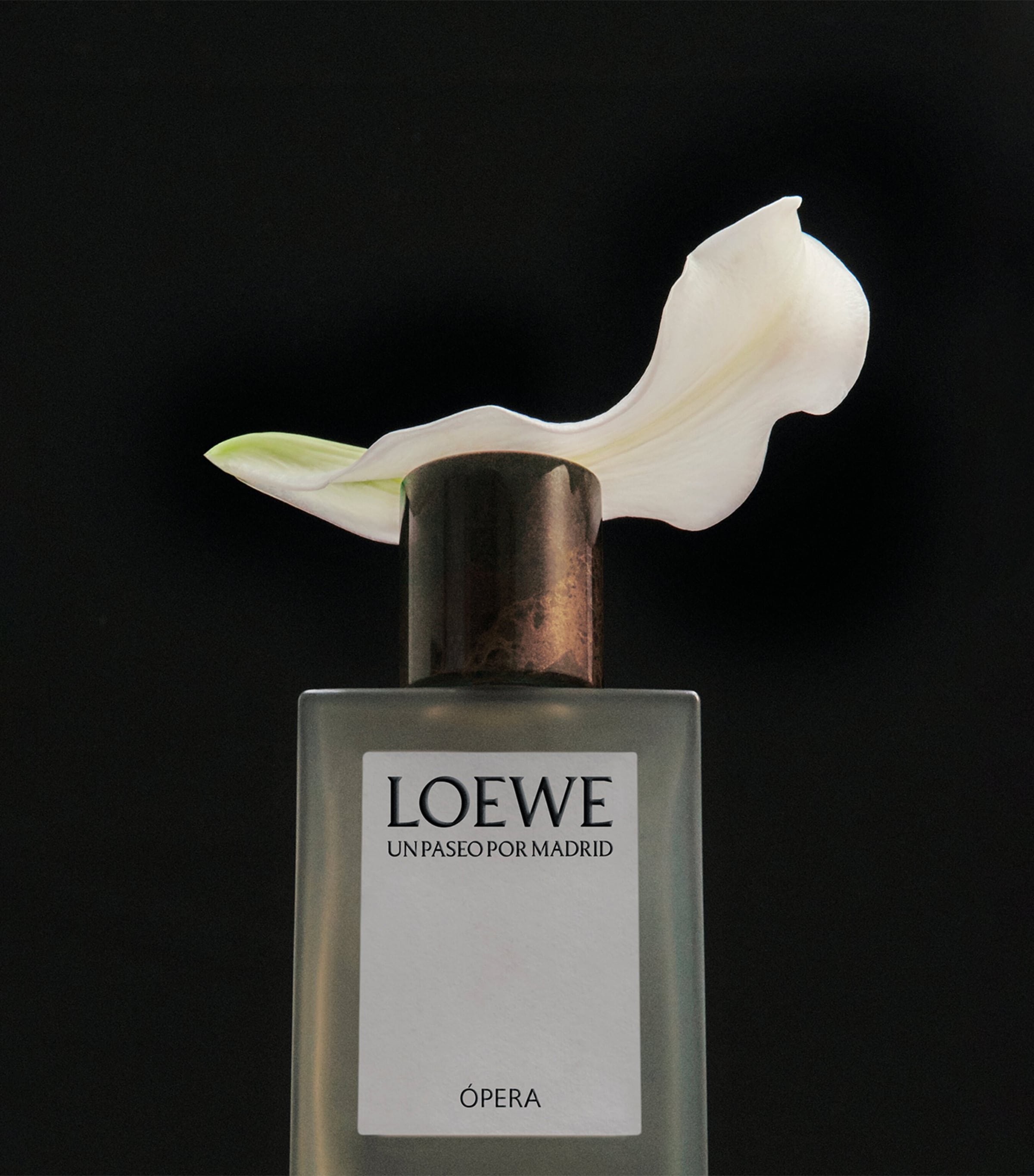 LOEWE UN PASEO POR MADRID ÓPERA 100ml LW79716_1.jpg?sw=284&sh=429