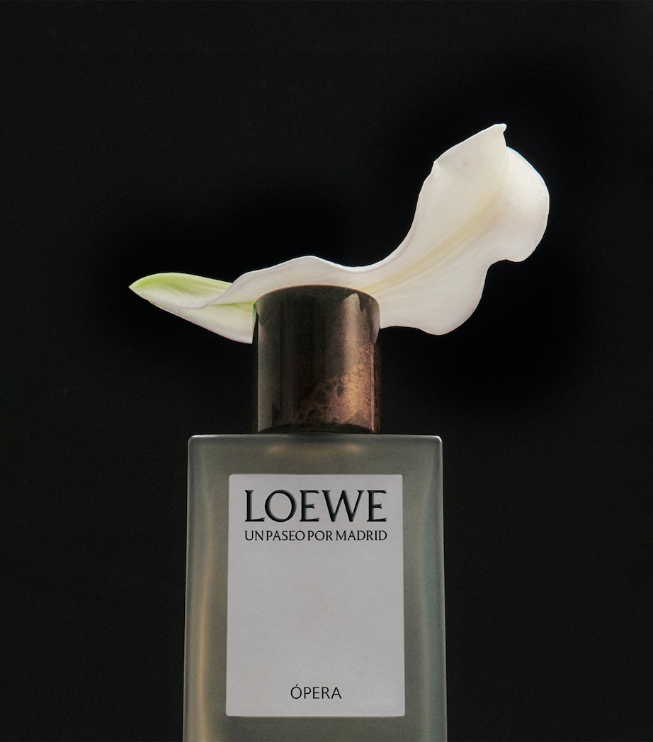 Un Paseo Por Madrid Ópera Eau de Parfum (100ml) NO COLOUR Image 4