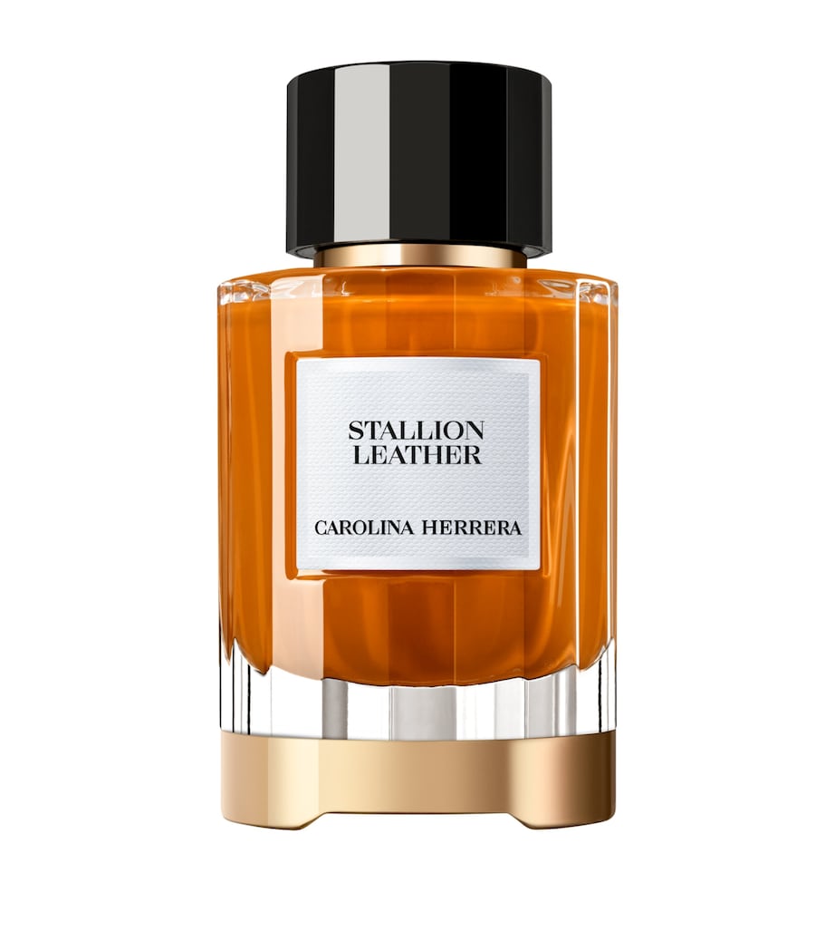 Stallion Leather Eau de Parfum (100ml) NO COLOUR Image 1