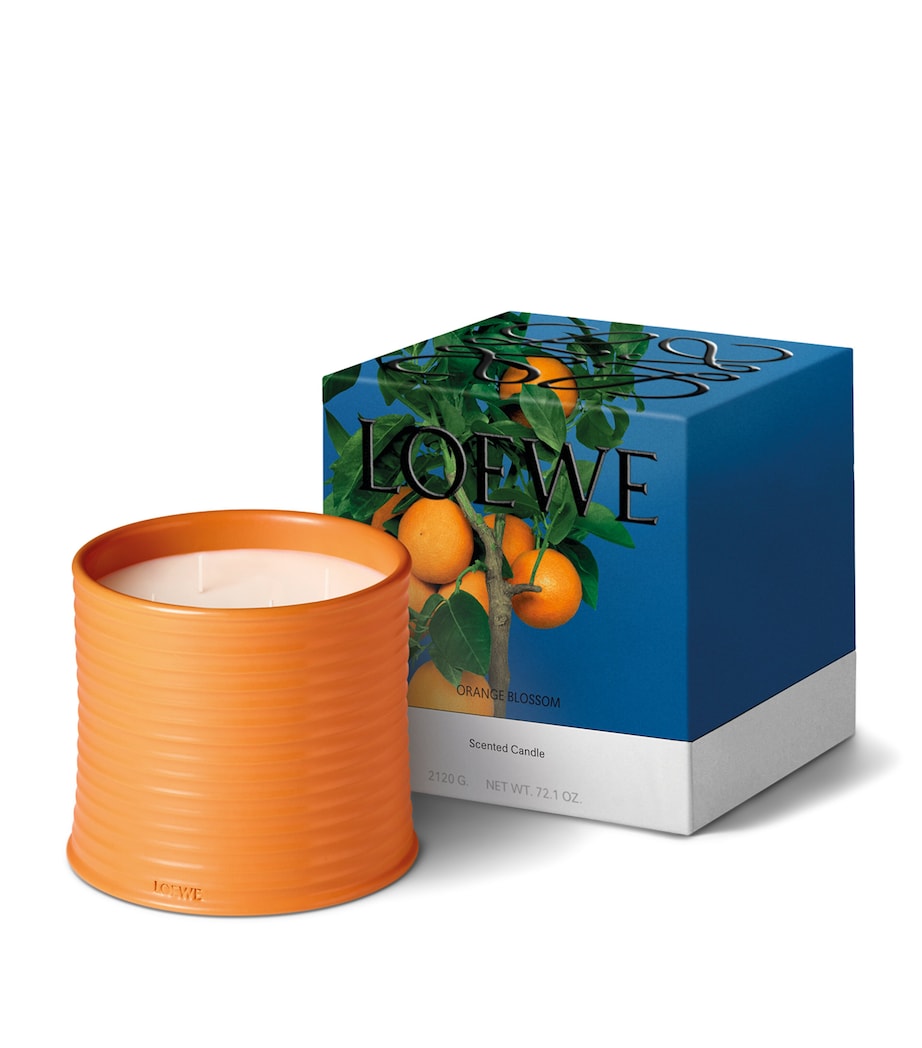 Large Orange Blossom Candle (4.85kg) NO COLOUR Image 6