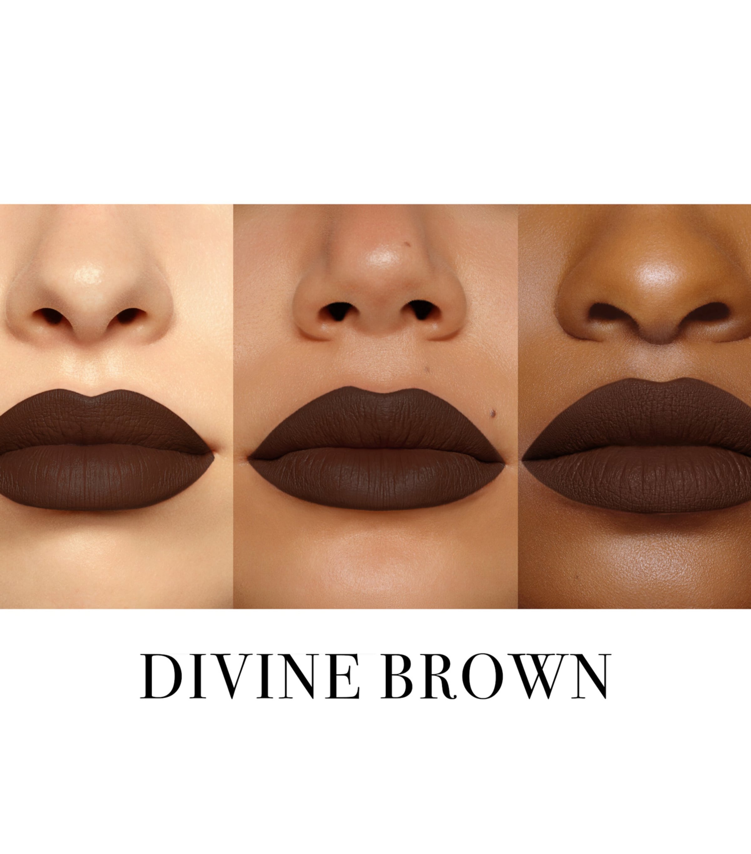 Legendary Longwear Lip Liner DIVINE BROWN Image 2