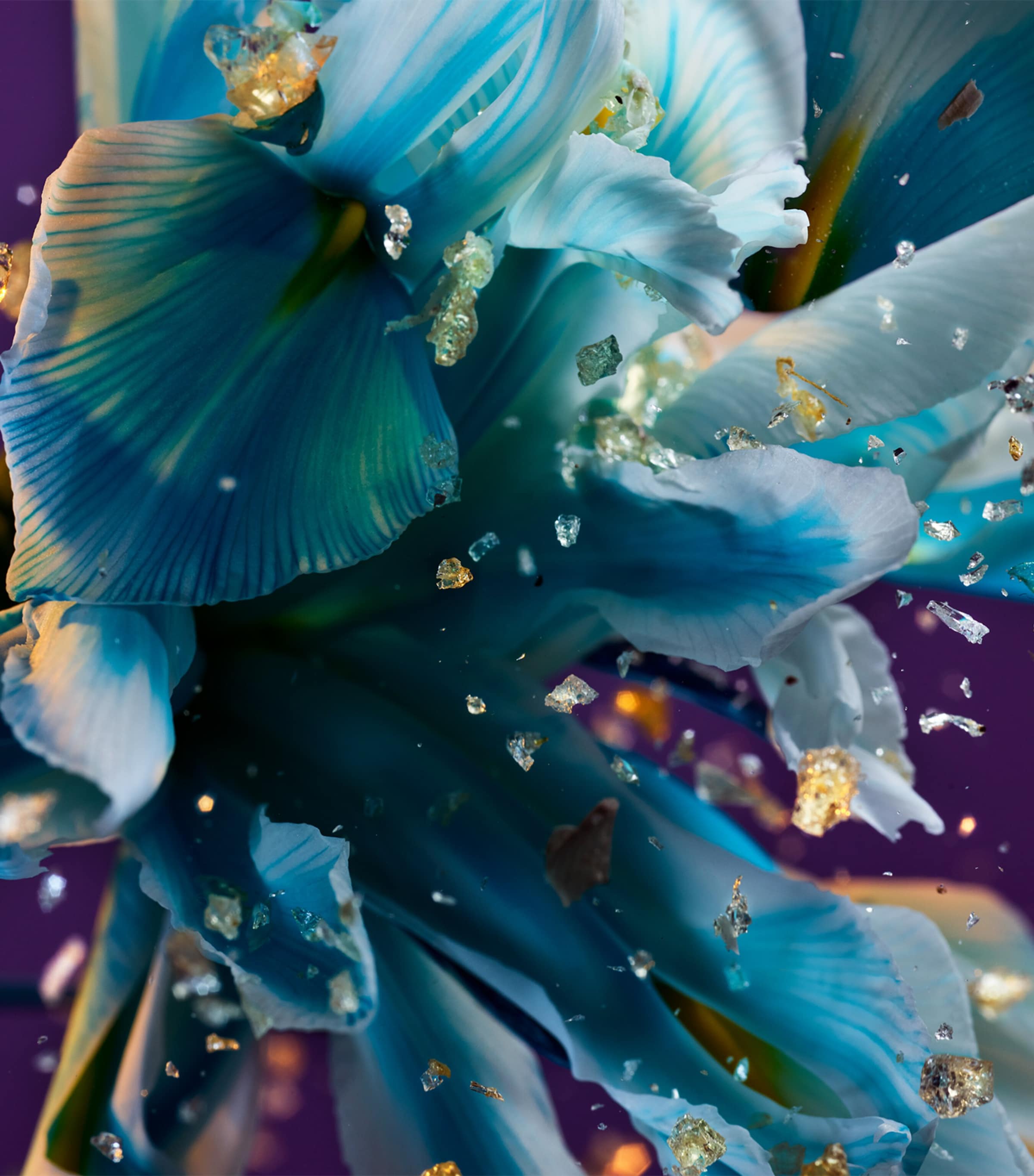 Allegra Spettacolore Eau de Parfum (50ml) NO COLOUR Image 3