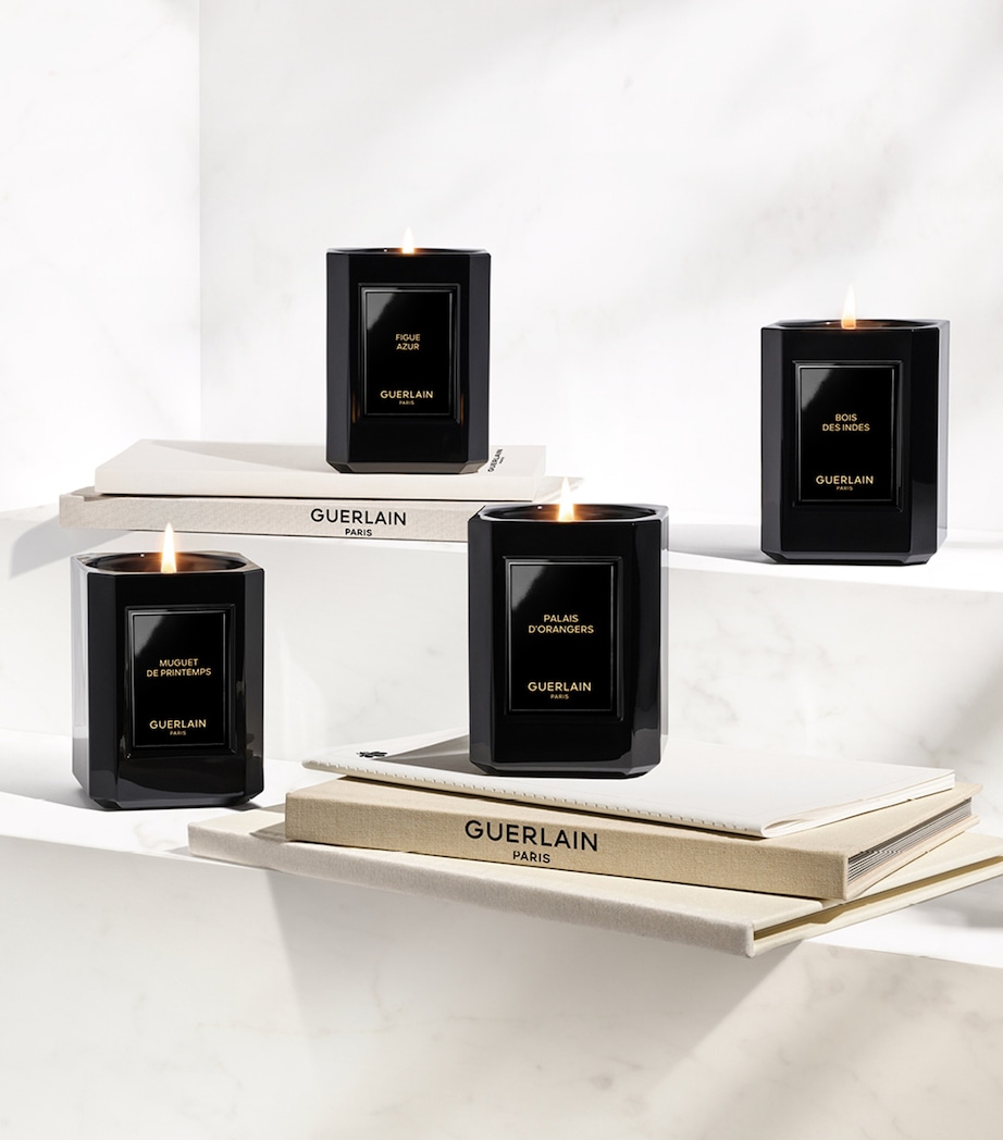 Épices Sous les Étoiles Candle (220g) N/A Image 2