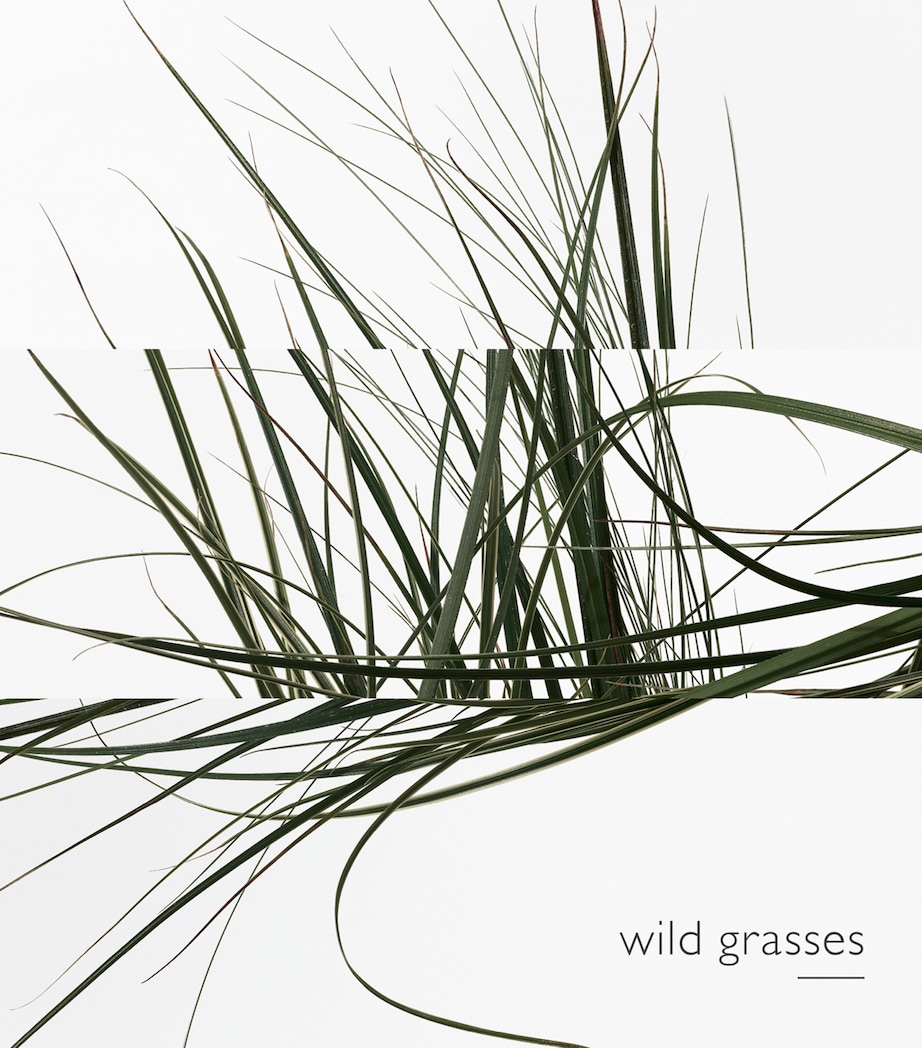 Un Jardin Sur Le Toit Eau de Toilette (100ml) NO COLOUR Image 3