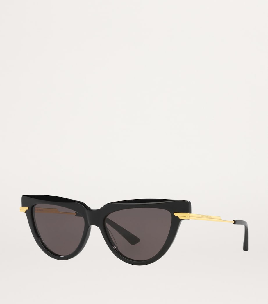 Acetate 06J000421 Sunglasses 1100L1 Image 2