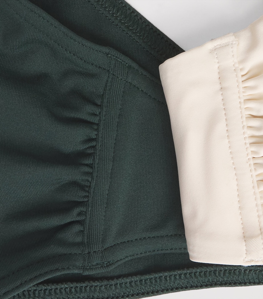 Dual-Tone Bikini Top SCRBEE/PRCLE (01594) Image 4