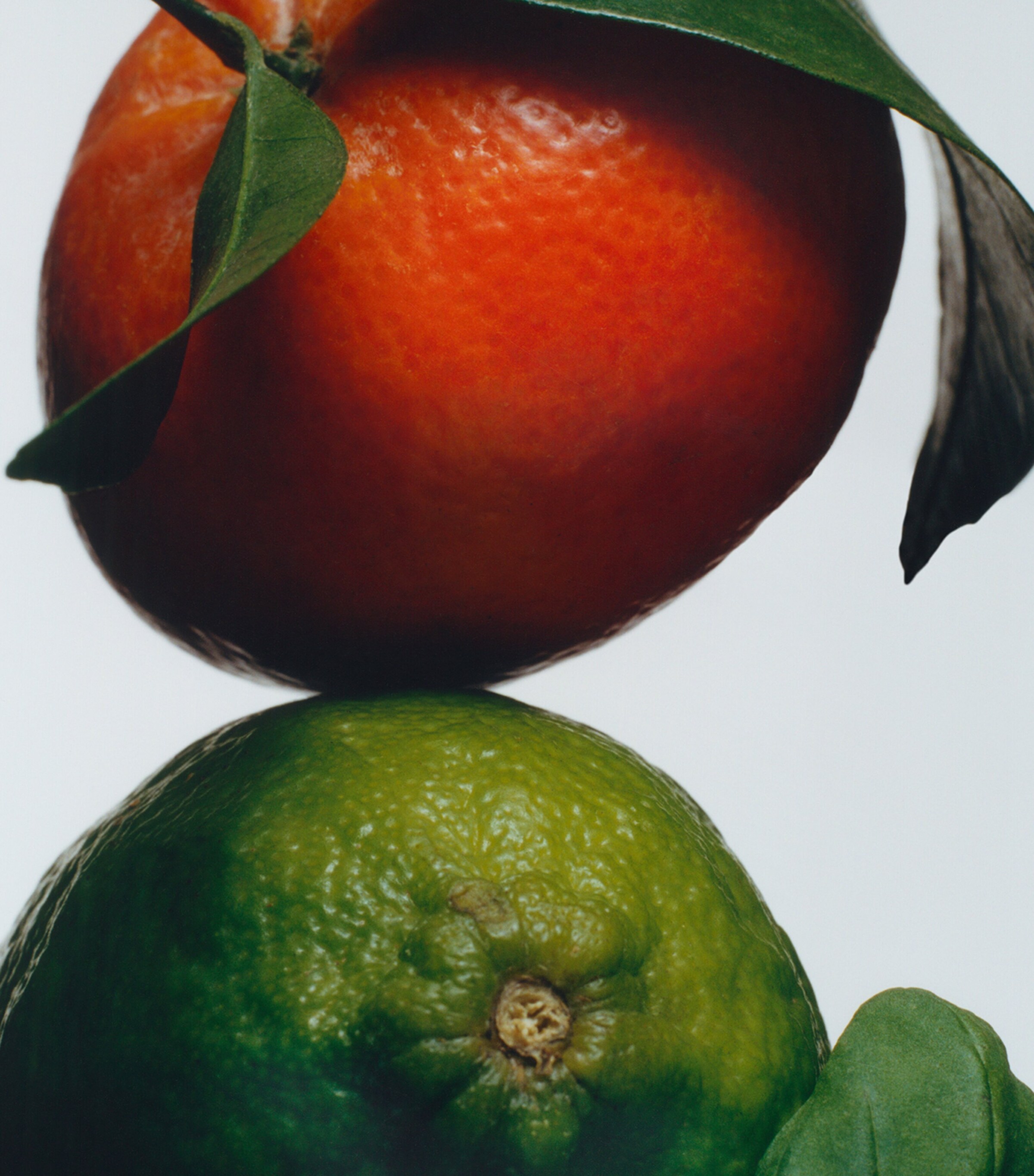 Lime Basil & Mandarin Classic Candle (200g) NO COLOUR Image 3