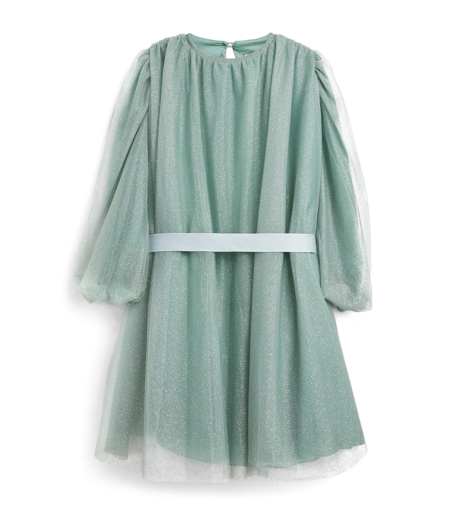 Tulle Glitter Dress (2-14 Years) 511OREGANO GREEN Image 1